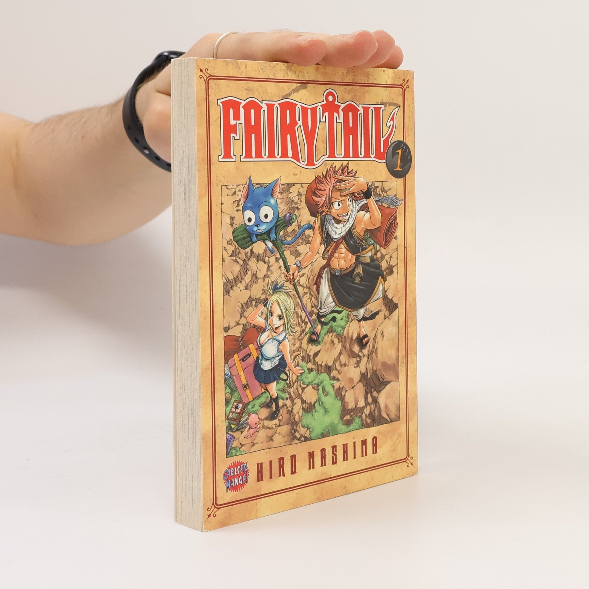 Hiro M. Fairy Tail 1