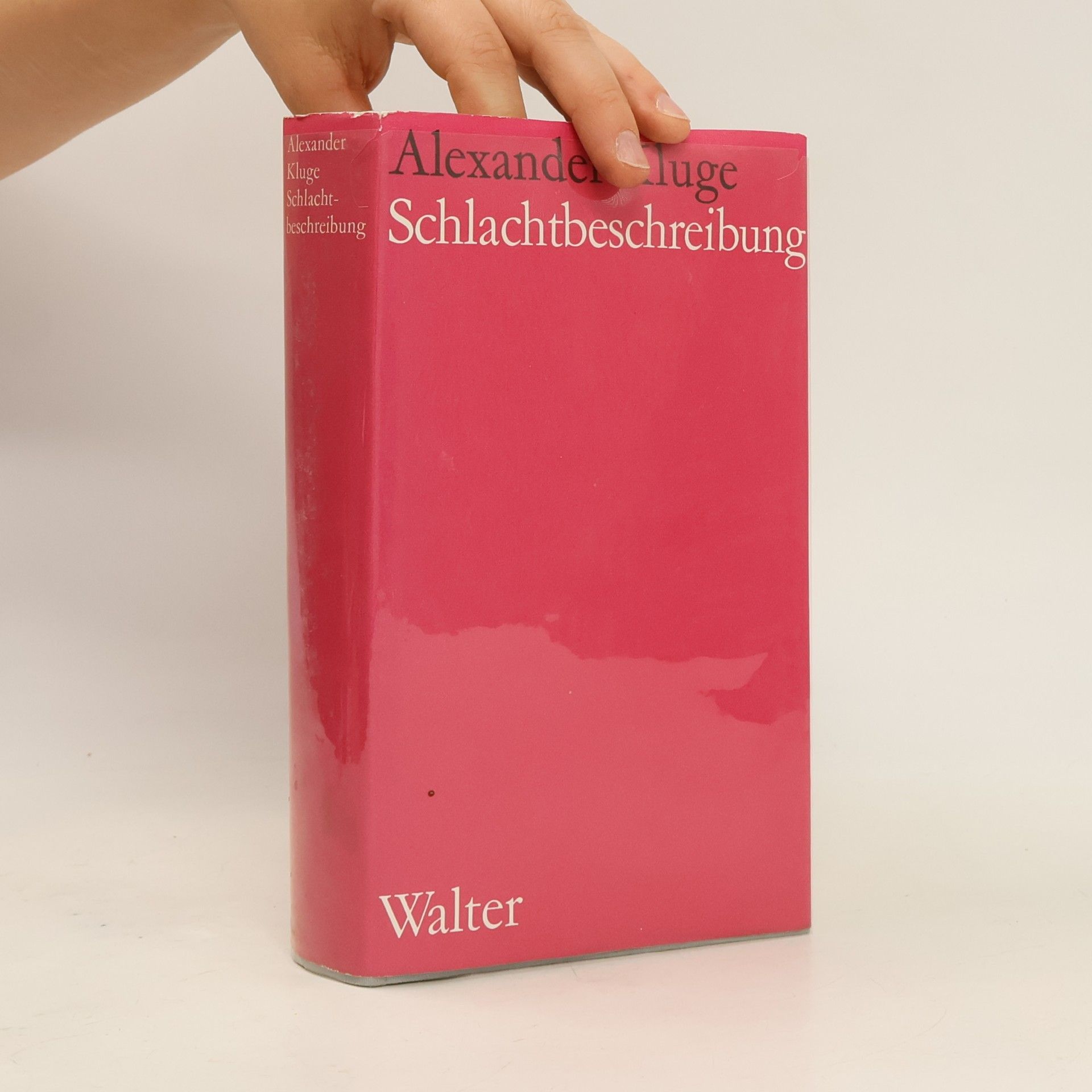 Alexander Kluge Schlachtbeschreibung
