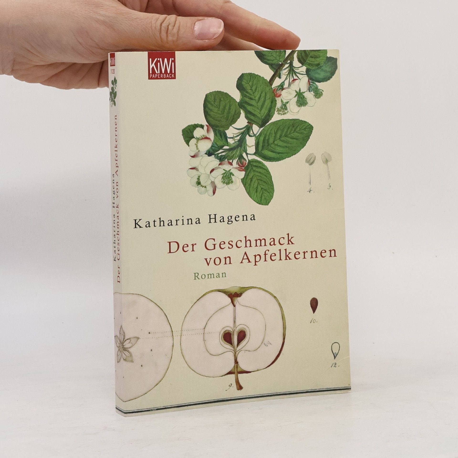 Katharina Hagena Der Geschmack von Apfelkernen