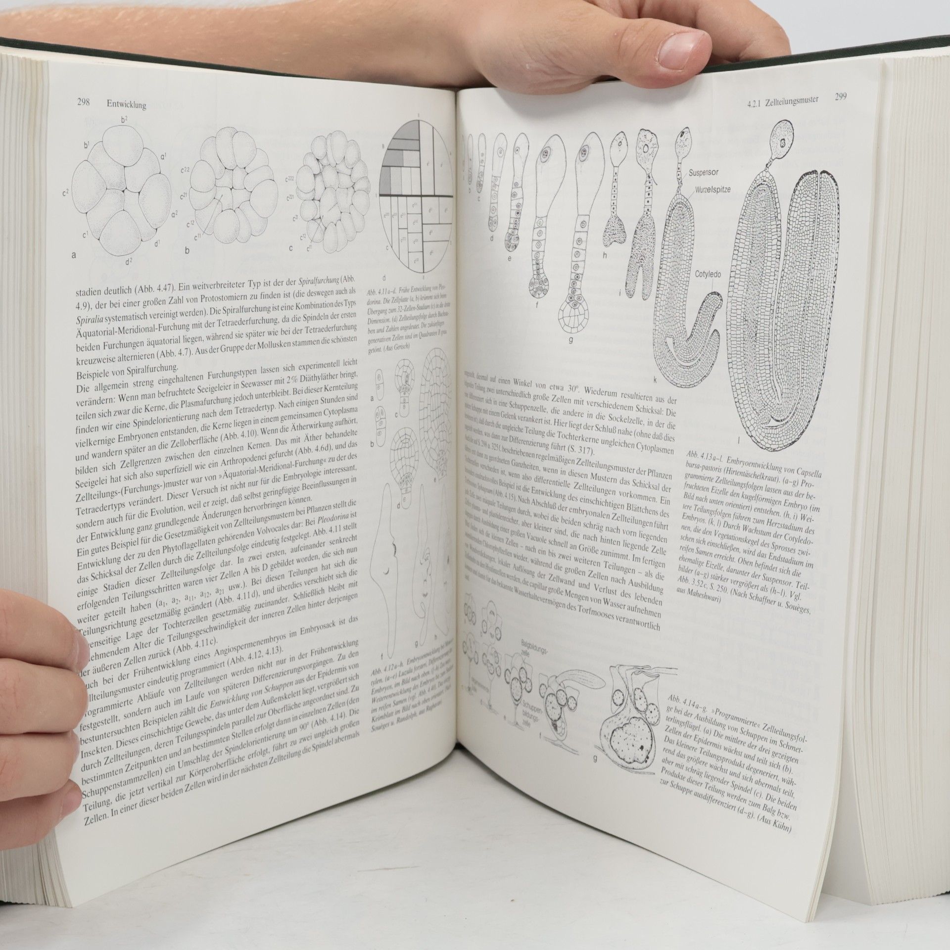 Autorenkollektiv Biologie. Ein Lehrbuch
