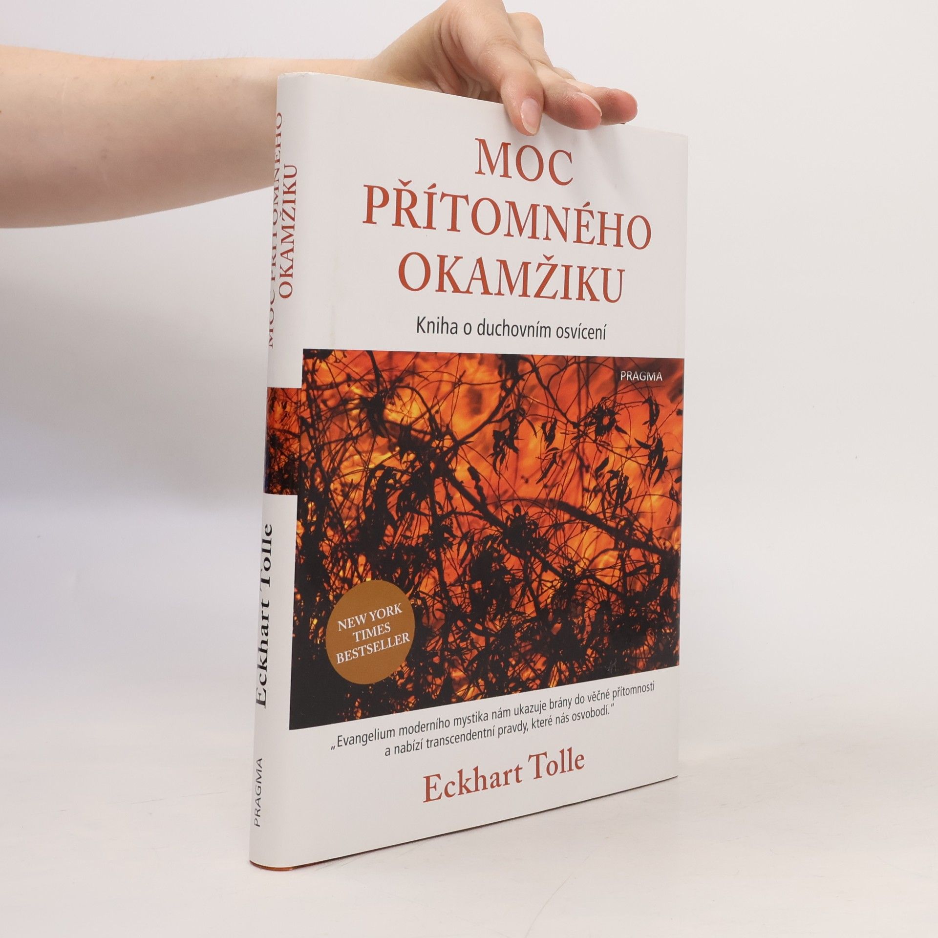 Eckhart Tolle Moc přítomného okamžiku