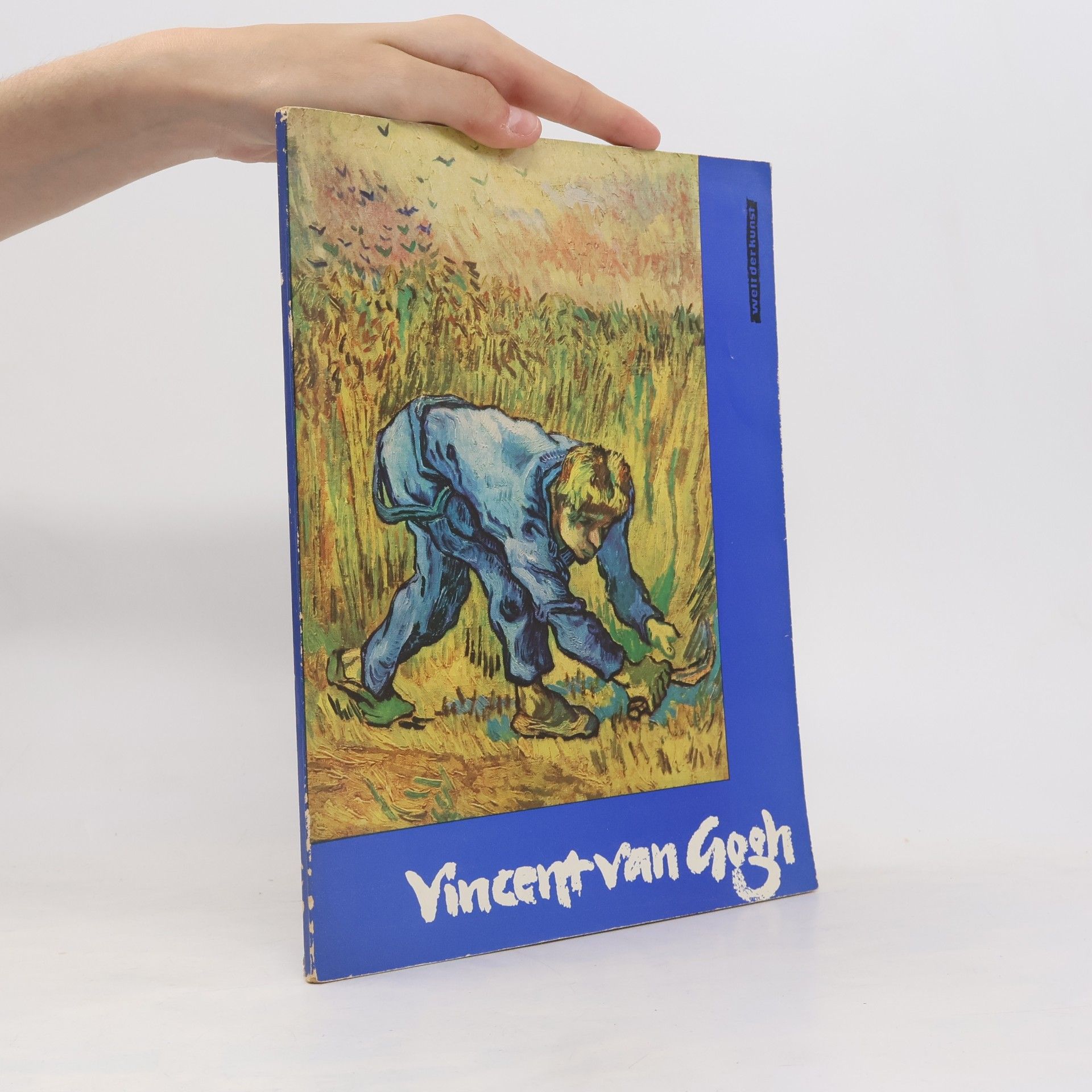 Autorenkollektiv Vincent van Gogh