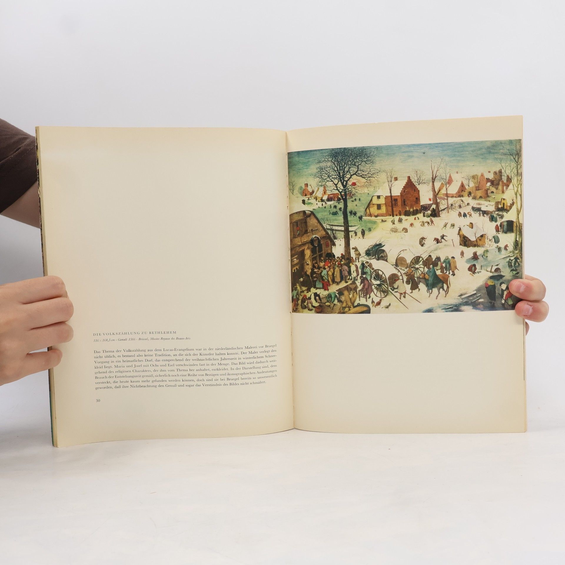 Albrecht Dohmann Pieter Bruegel d. Ä.