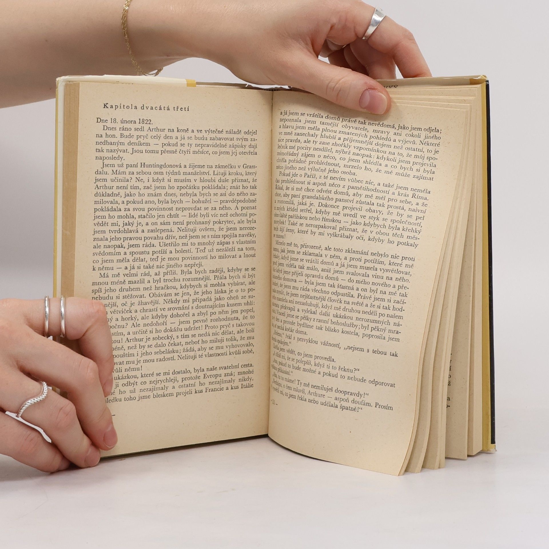 Anne Brontë Dvojí život Heleny Grahamové