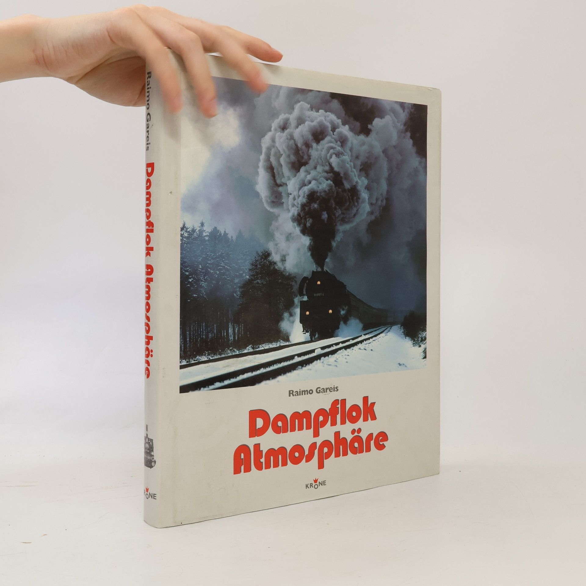 Raimo Gareis Dampflok Atmosphäre