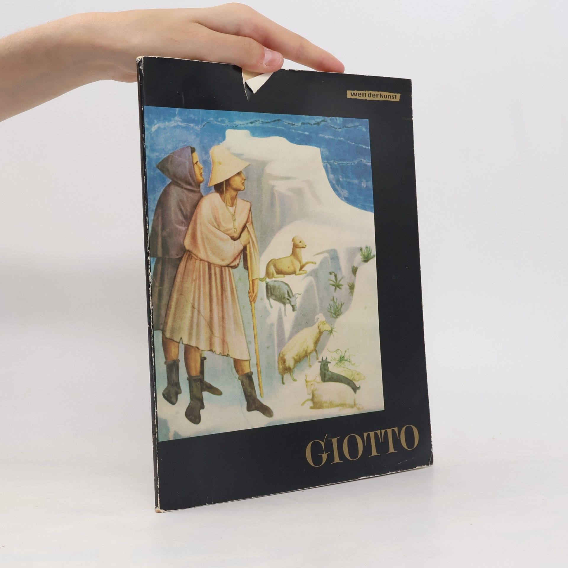 Giotto di Bondone Giotto