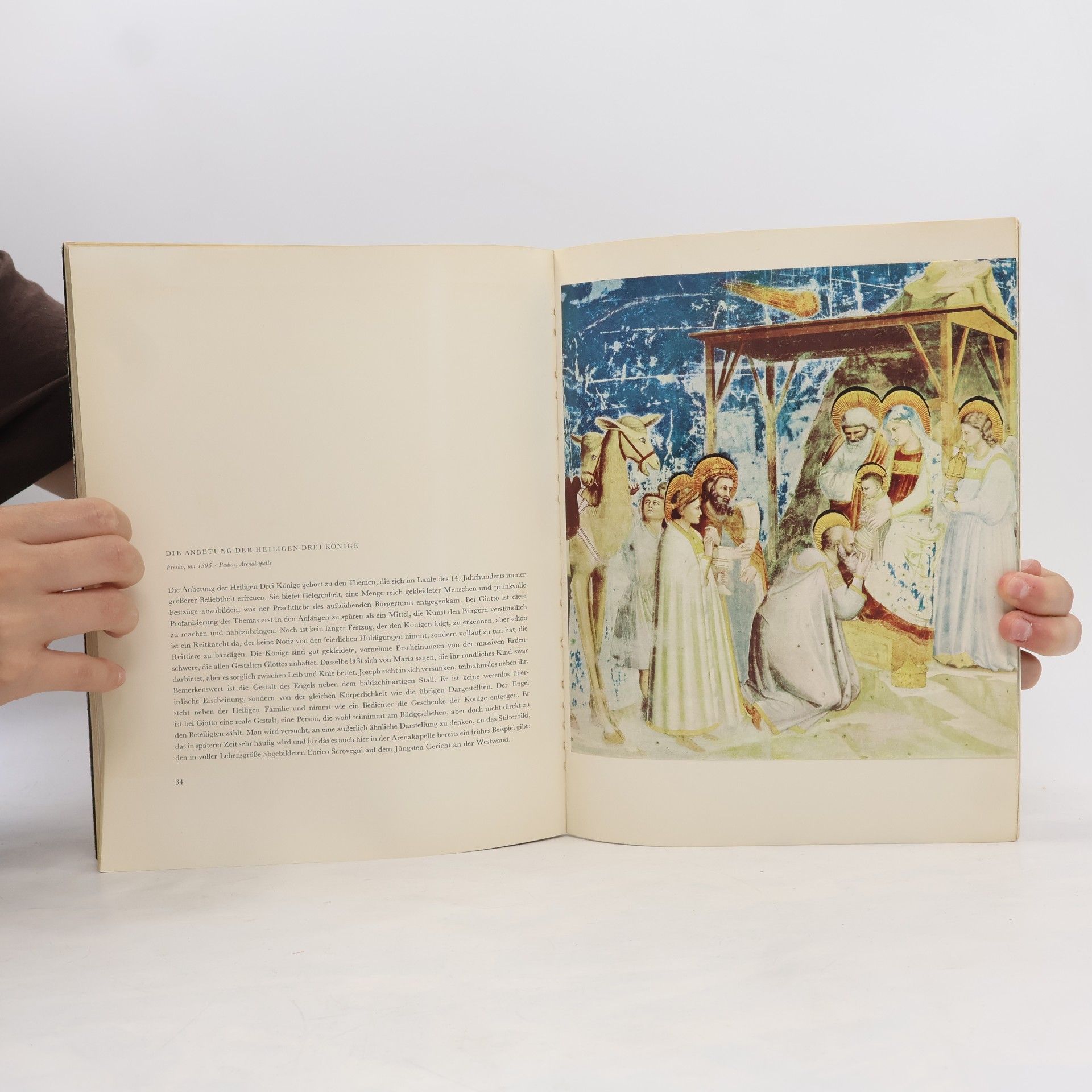 Giotto di Bondone Giotto