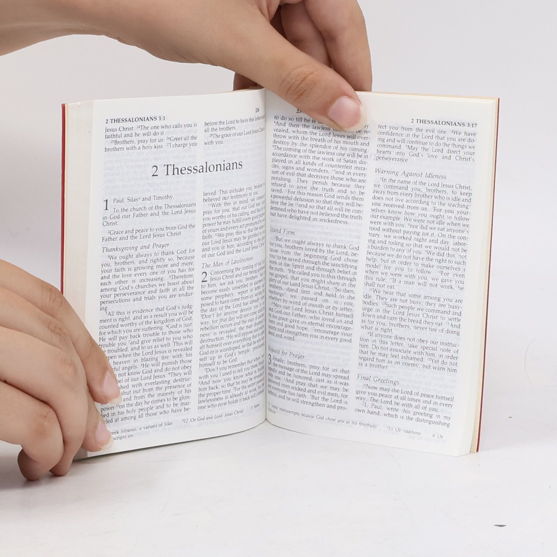 Various authors New Testament. New International version