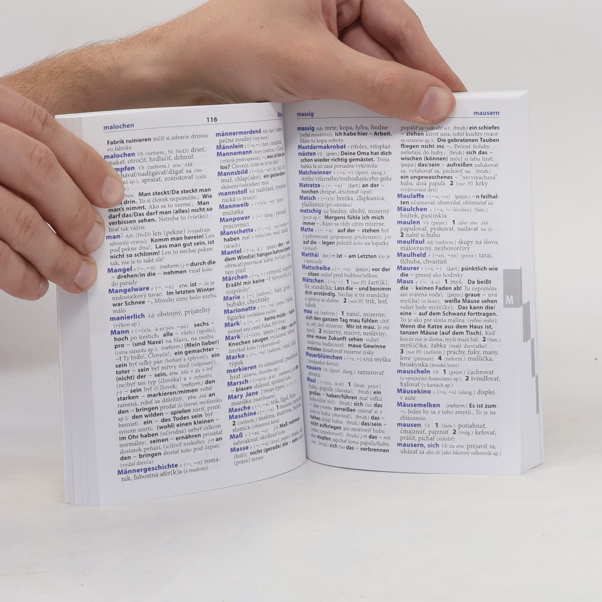 Autorenkollektiv Is´ was? Slovník slangu a hovorovej nemčiny