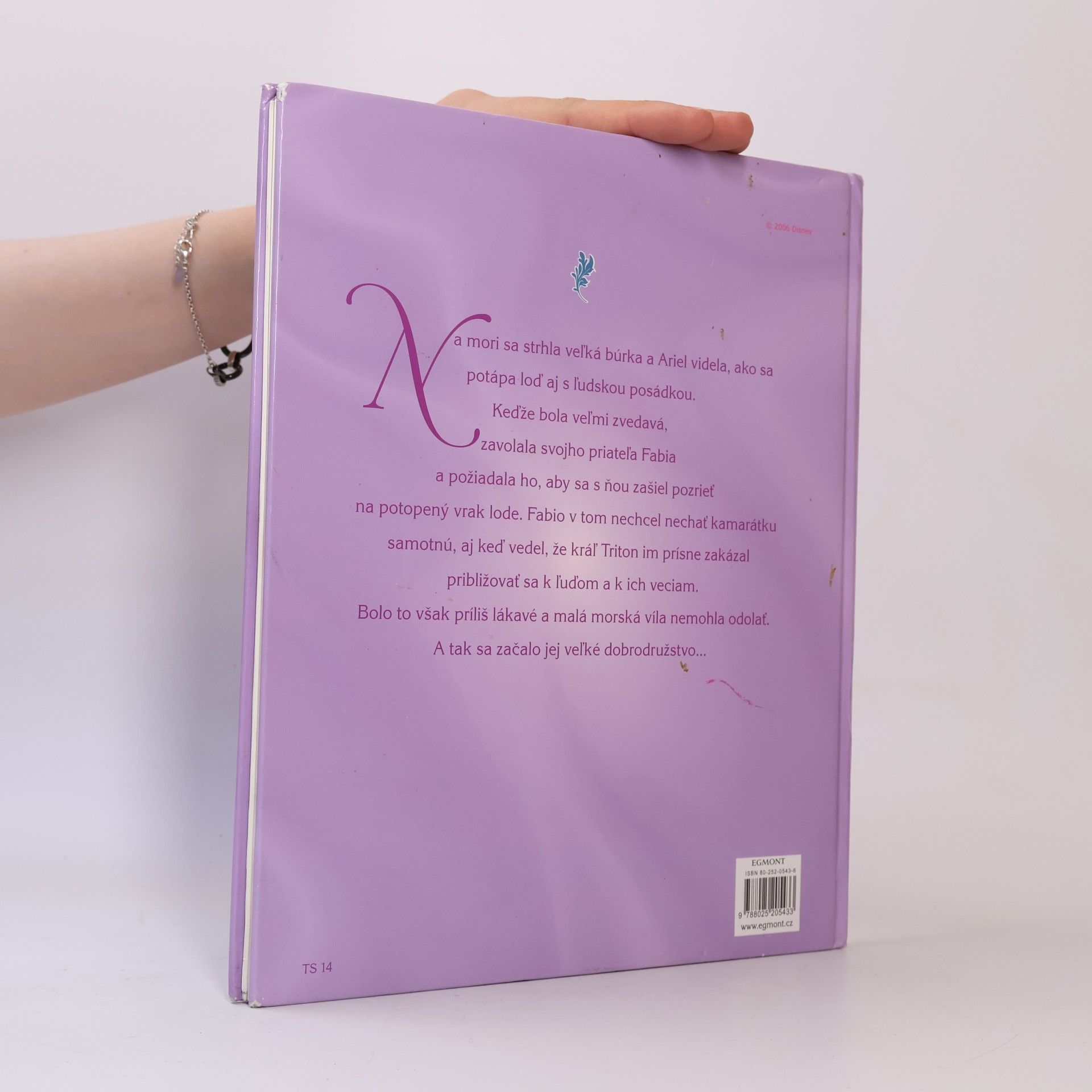 Autorenkollektiv Ariel a jej prvé veĺké dobrodružstvo