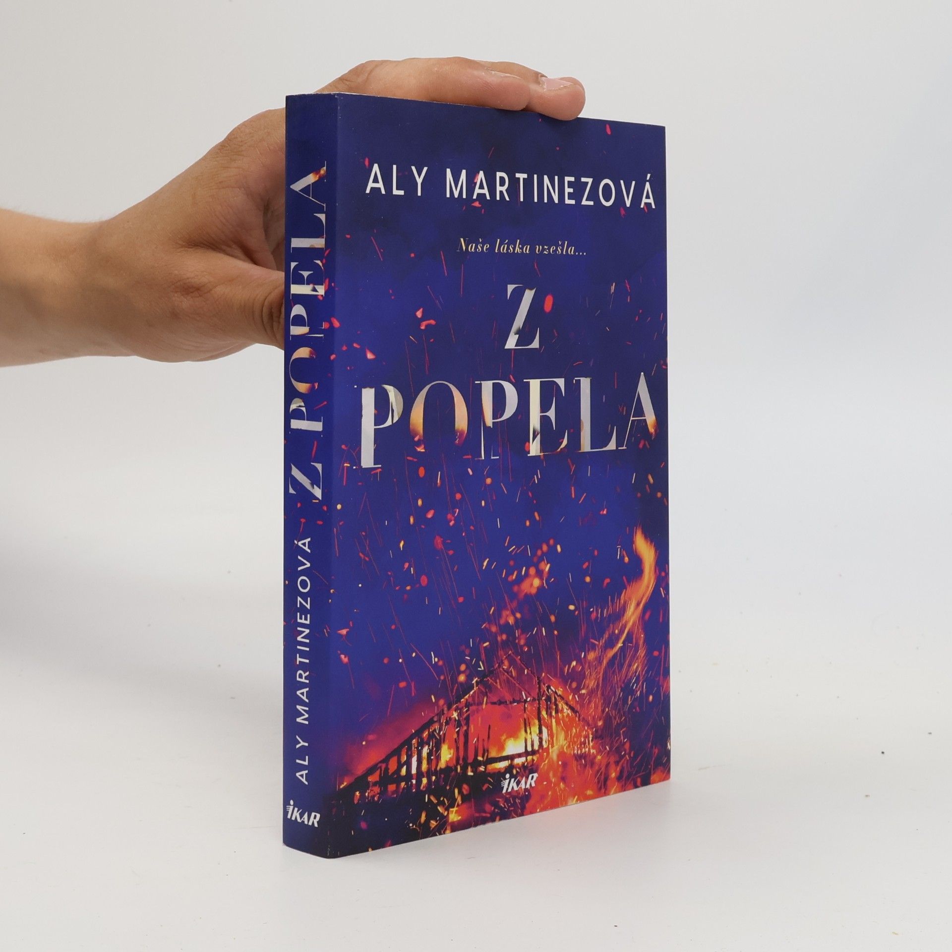 Aly Martinez Z popela