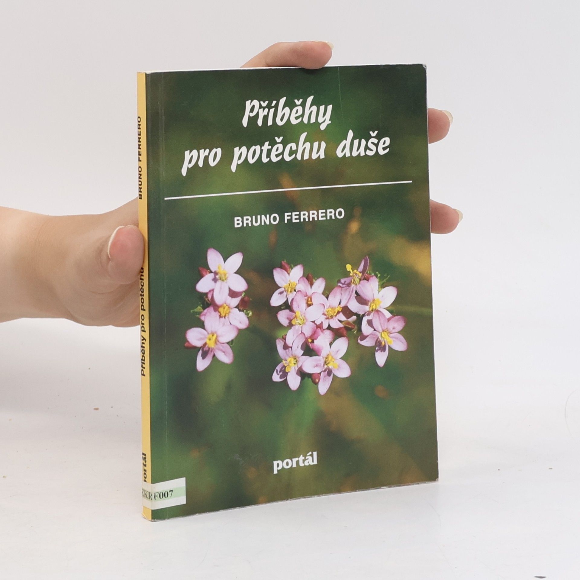 Bruno Ferrero Příběhy pro potěchu duše