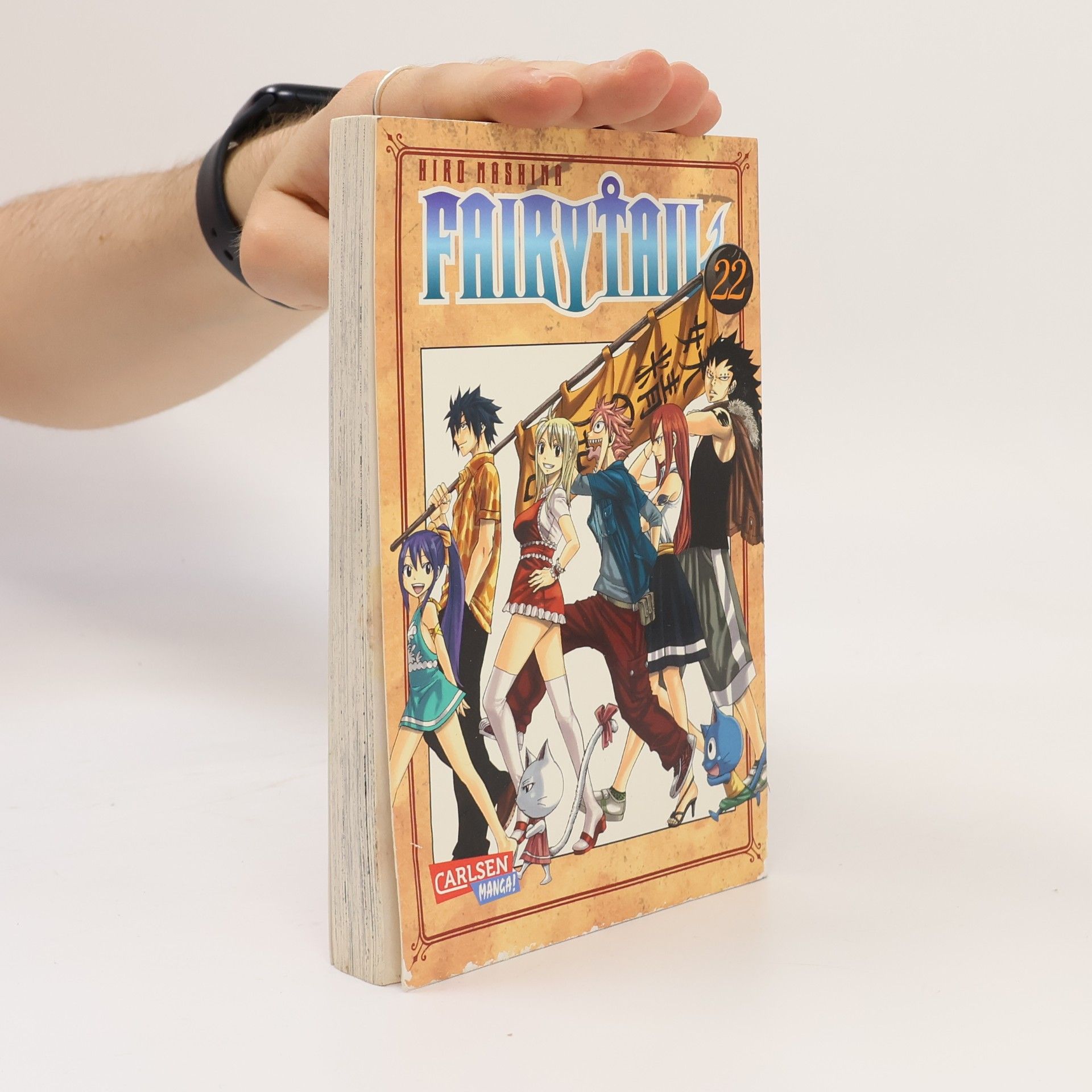 Hiro M. Fairy Tail 22