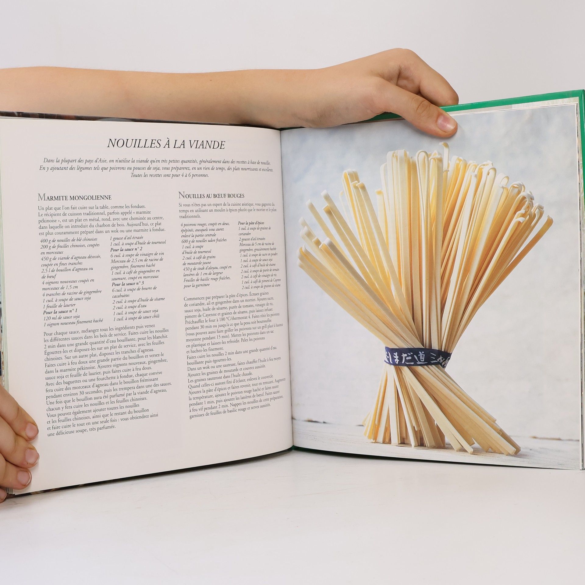 Cara Hobday 100 recettes de nouilles asiatiques