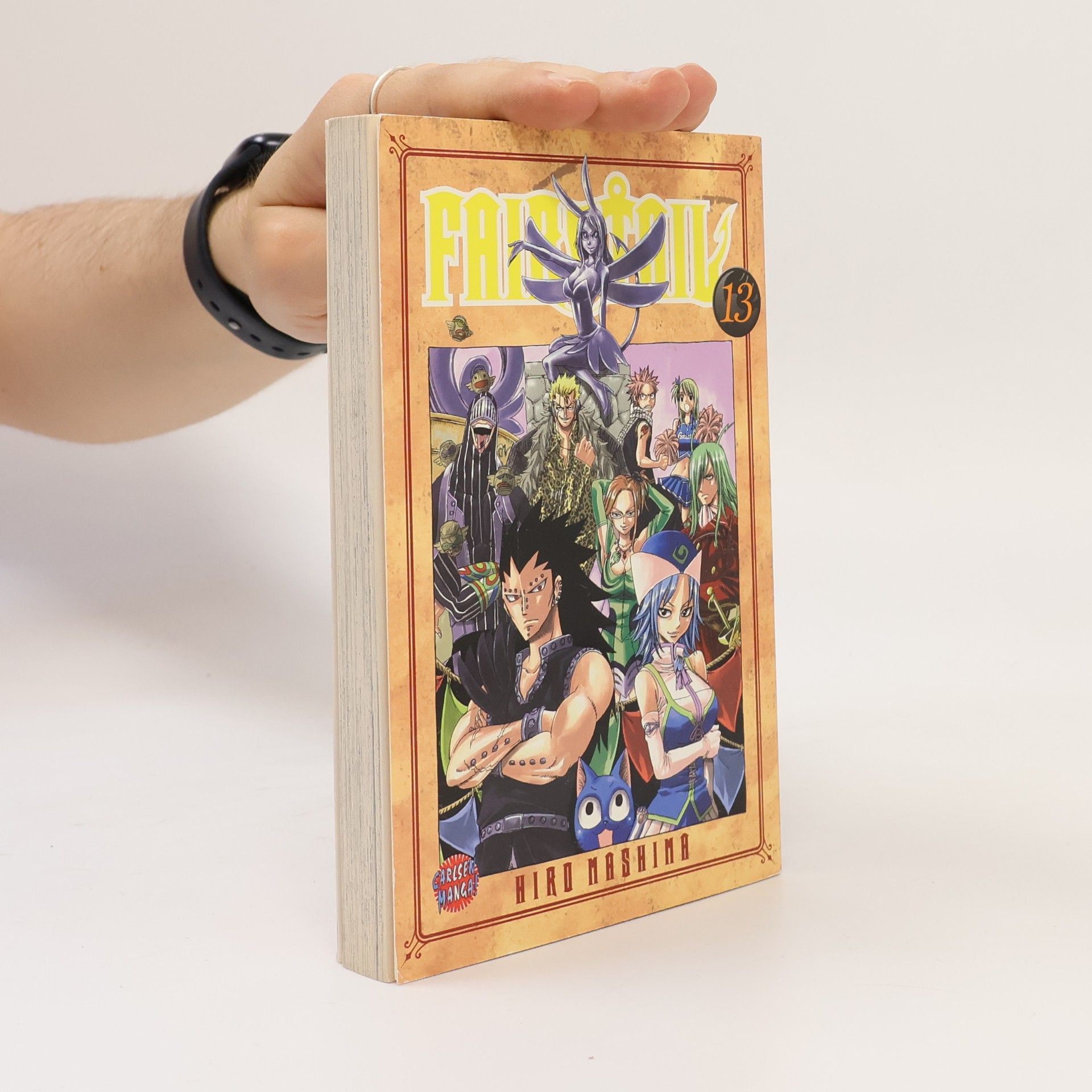 Hiro M. Fairy Tail 13