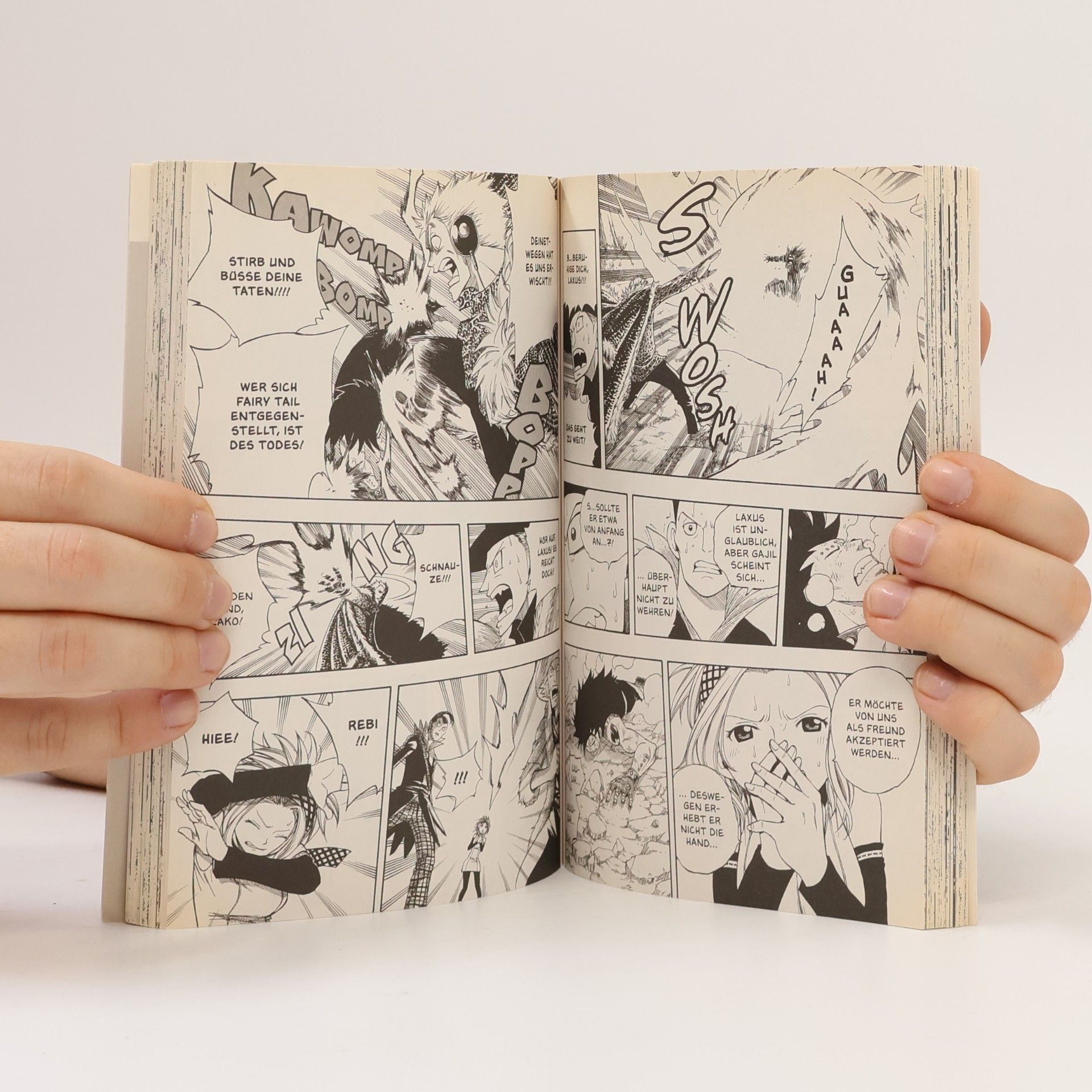 Hiro M. Fairy Tail 13