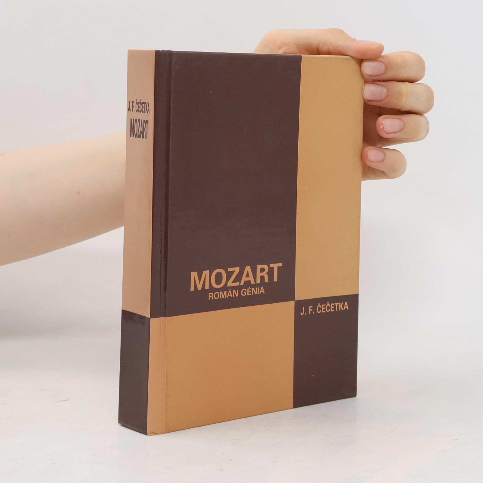 František Josef Čečetka Mozart. Román génia