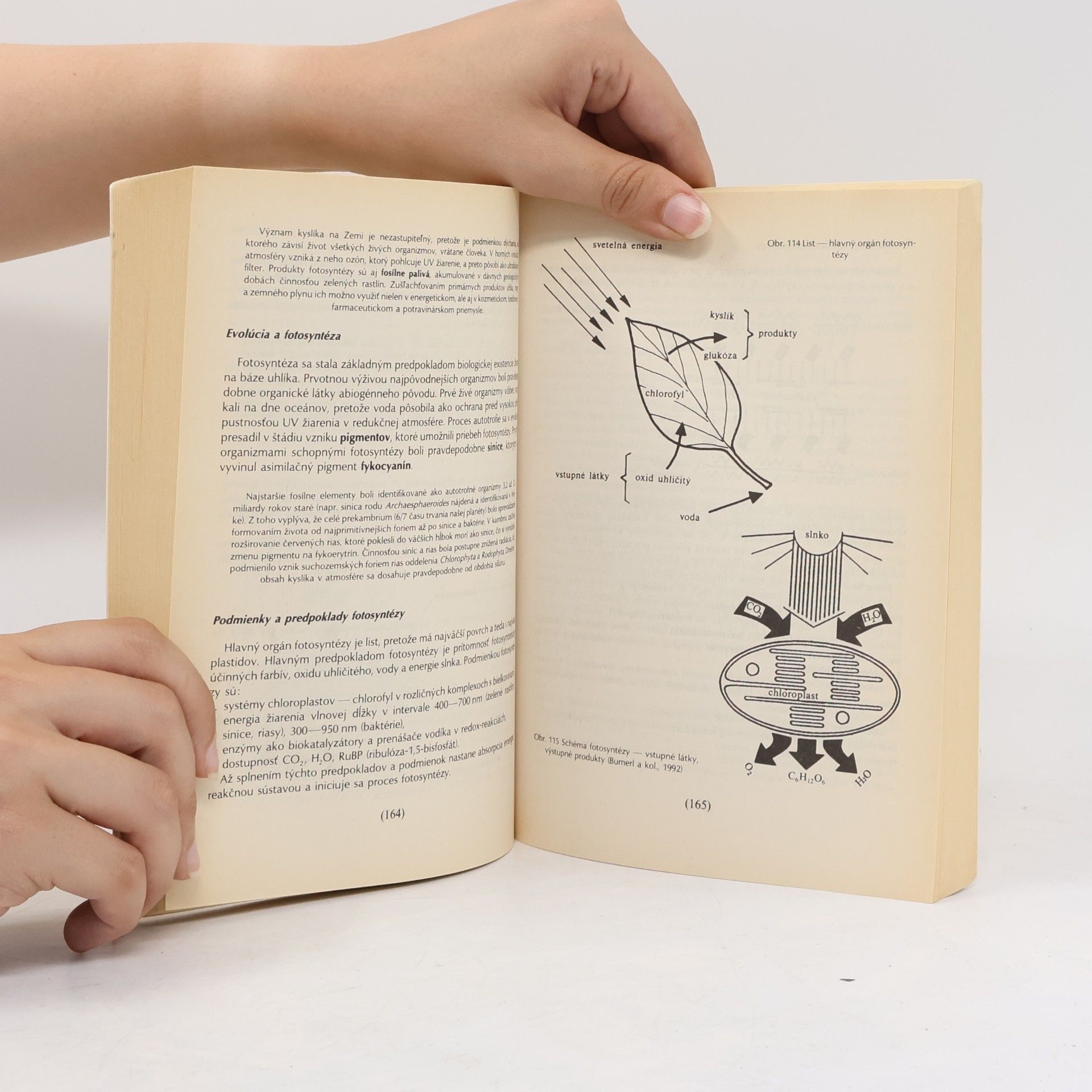 Autorenkollektiv Biológia 1 - Prehľad biológie