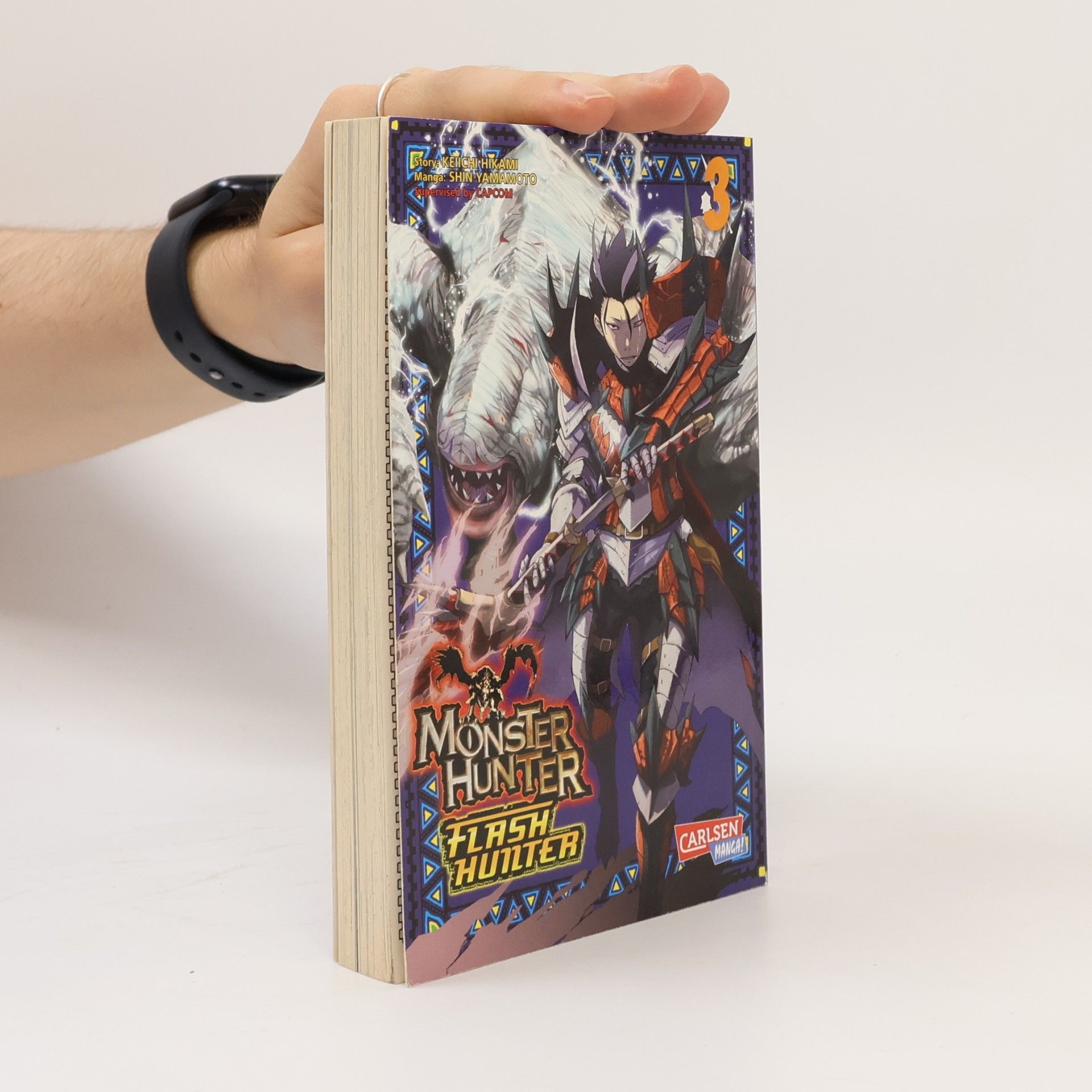 Keiichi Hikami Monster Hunter: Flash Hunter