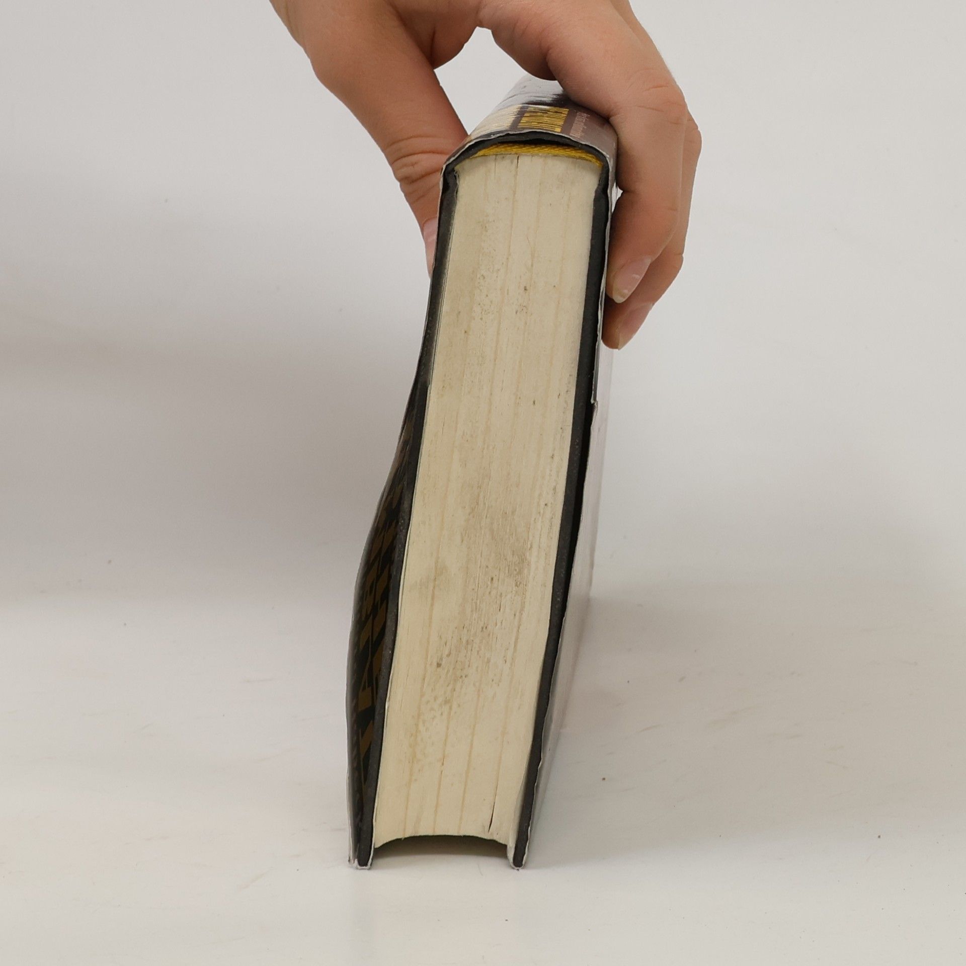 Peter Krassa Die Palmblatt-Bibliothek und andere geheimnisvolle Schauplätze dieser Welt