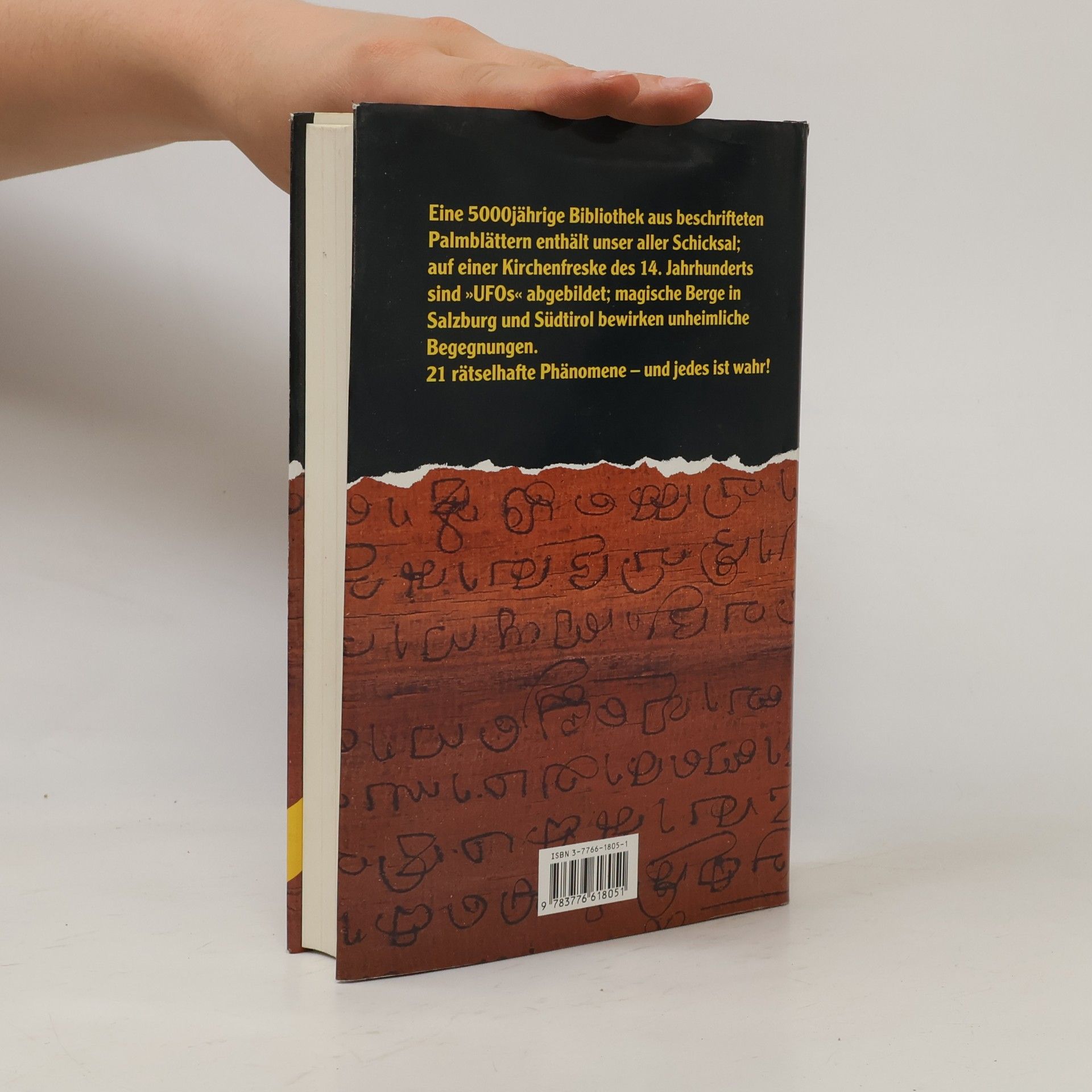 Peter Krassa Die Palmblatt-Bibliothek und andere geheimnisvolle Schauplätze dieser Welt