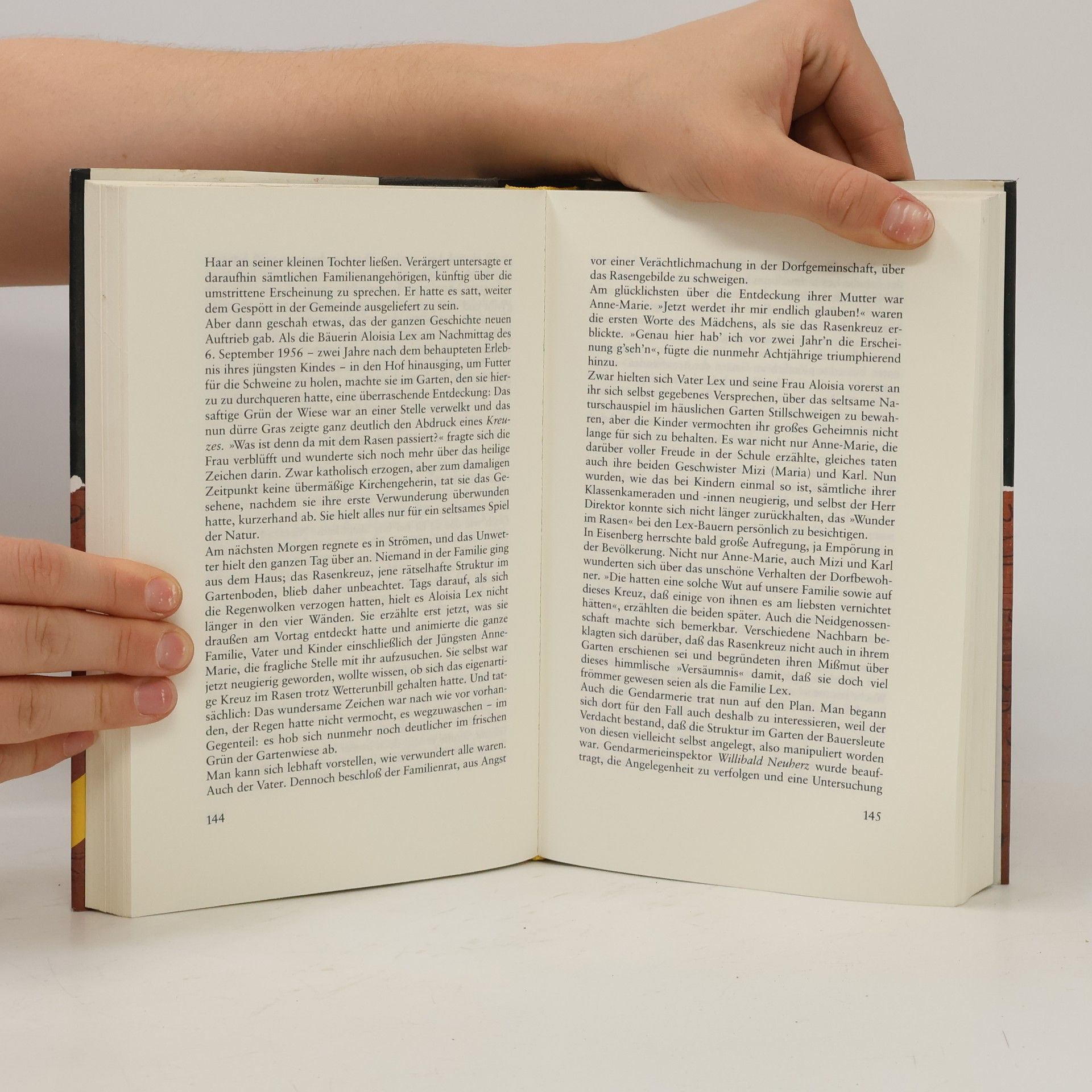 Peter Krassa Die Palmblatt-Bibliothek und andere geheimnisvolle Schauplätze dieser Welt