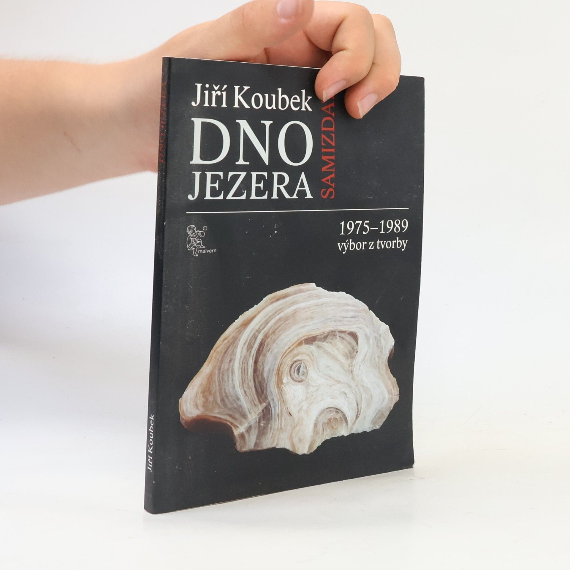 Jiří Koubek Dno jezera