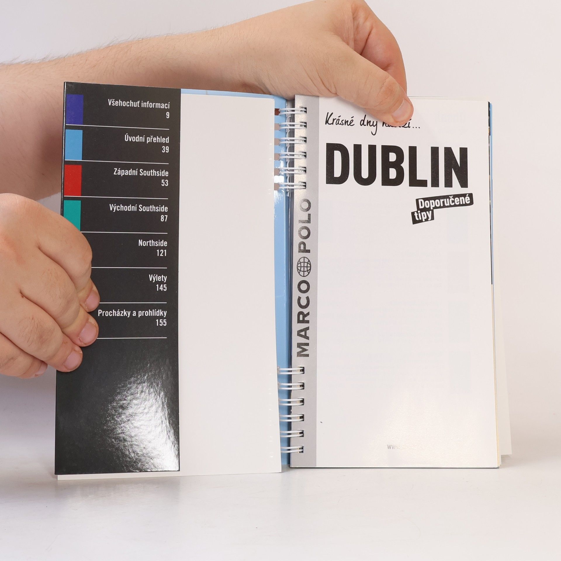 Kolektiv autorů Dublin