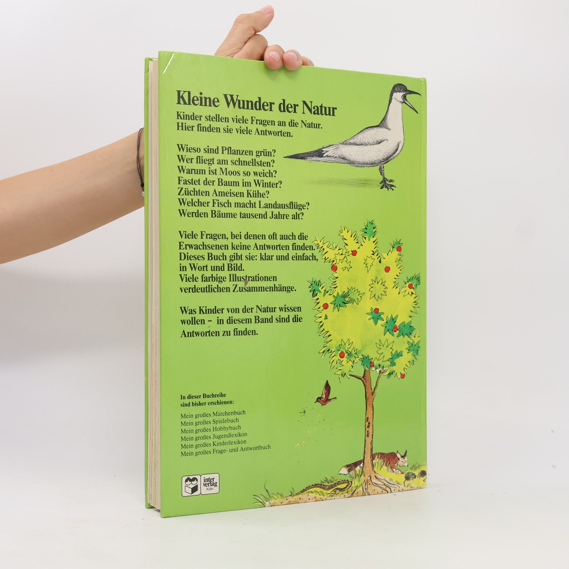 Autorenkollektiv Kleine Wunder der Natur