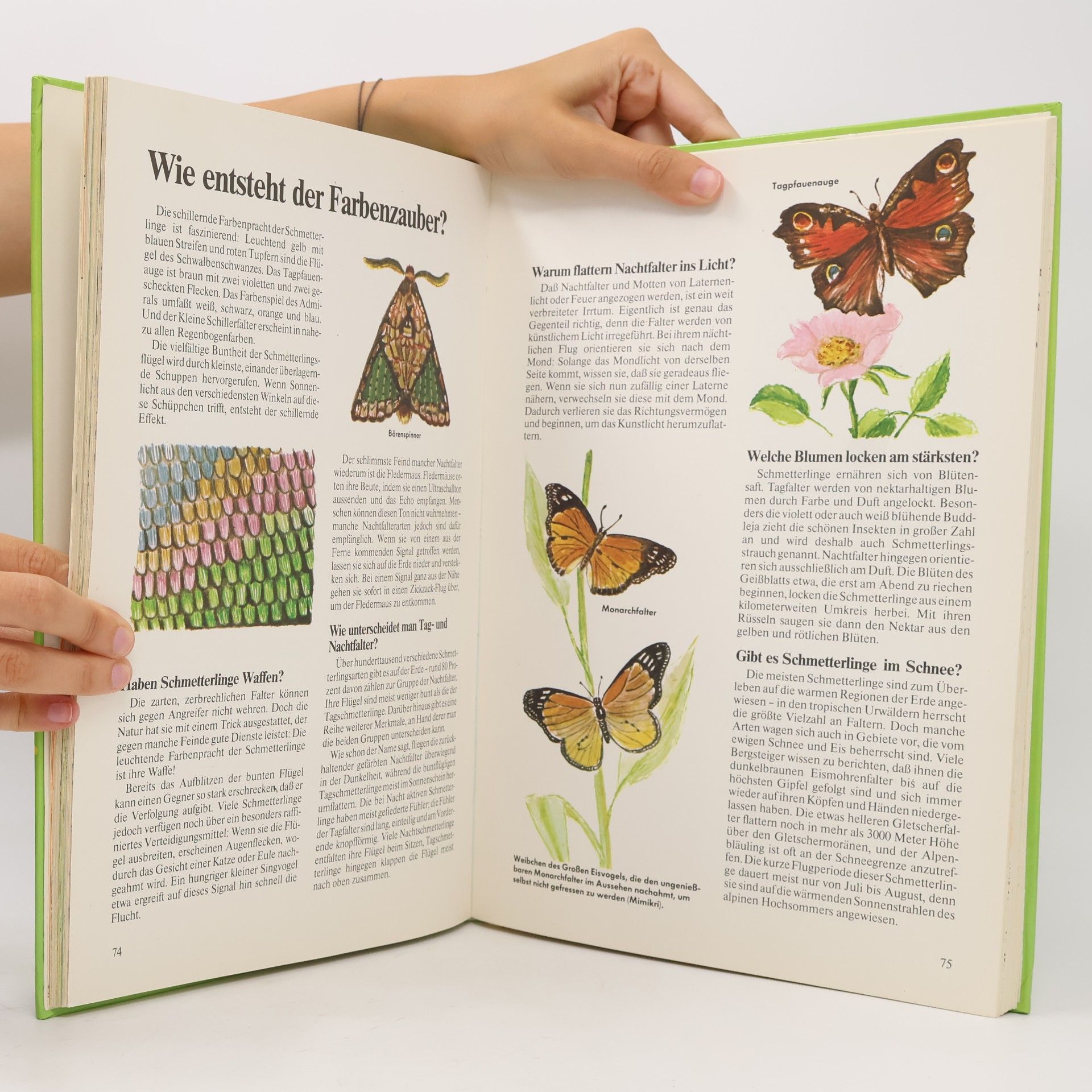 Autorenkollektiv Kleine Wunder der Natur