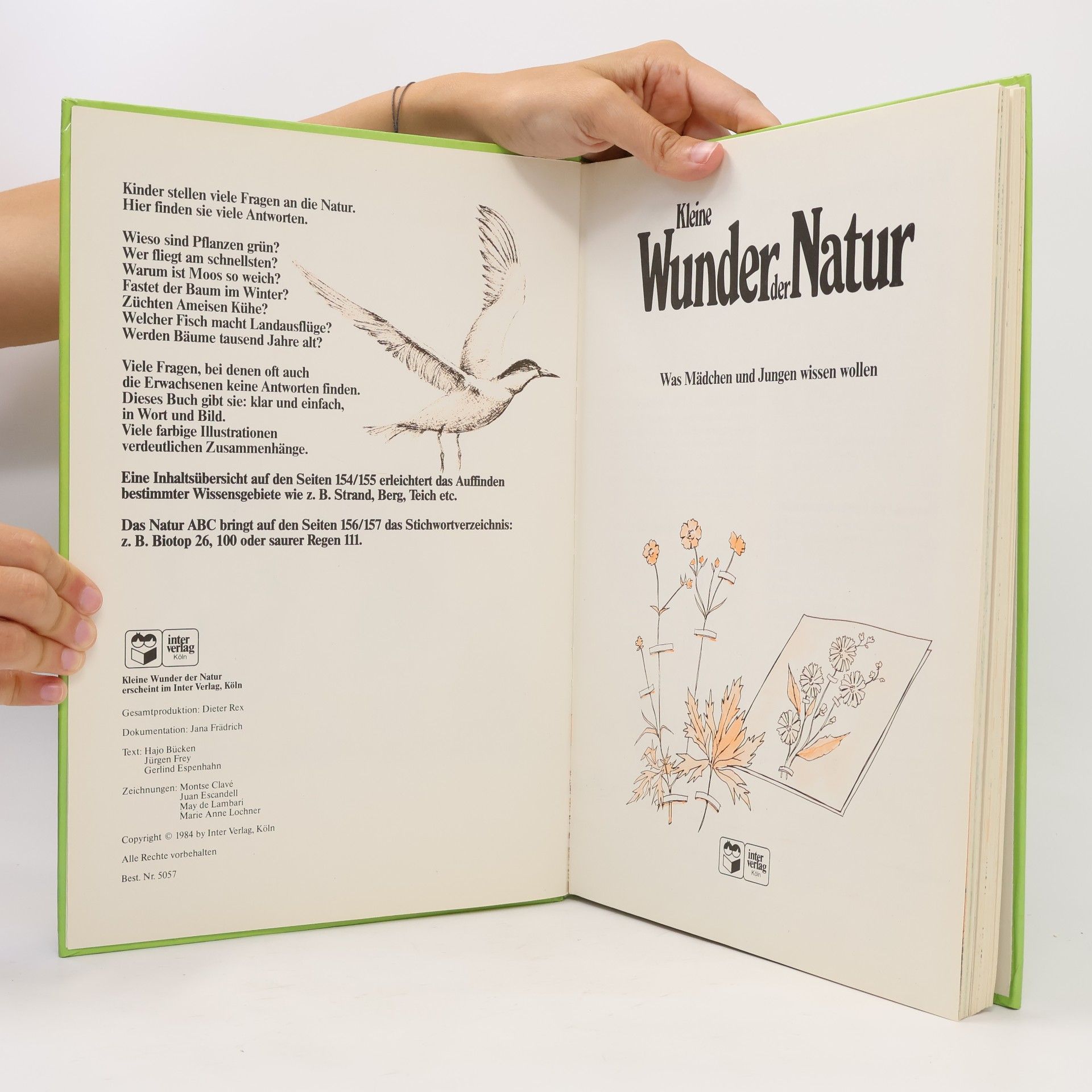 Autorenkollektiv Kleine Wunder der Natur