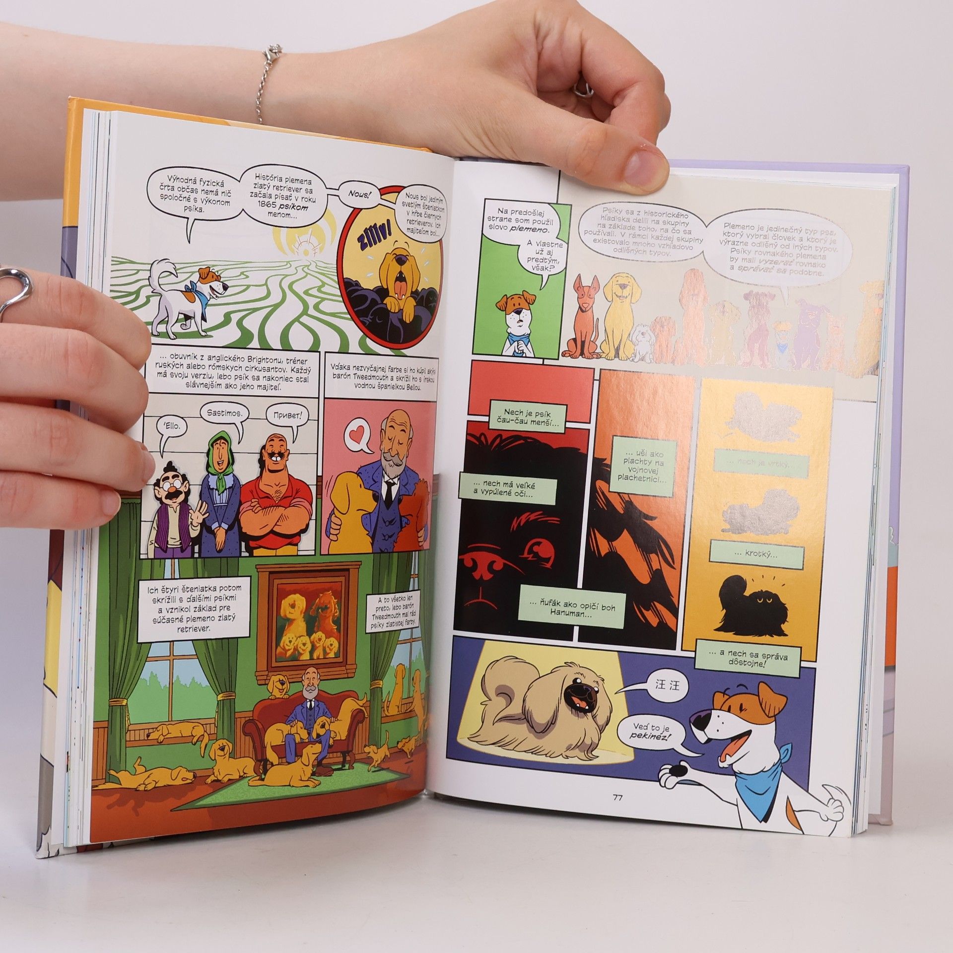 Andy Hirsch Komiksová akadémia. Psy