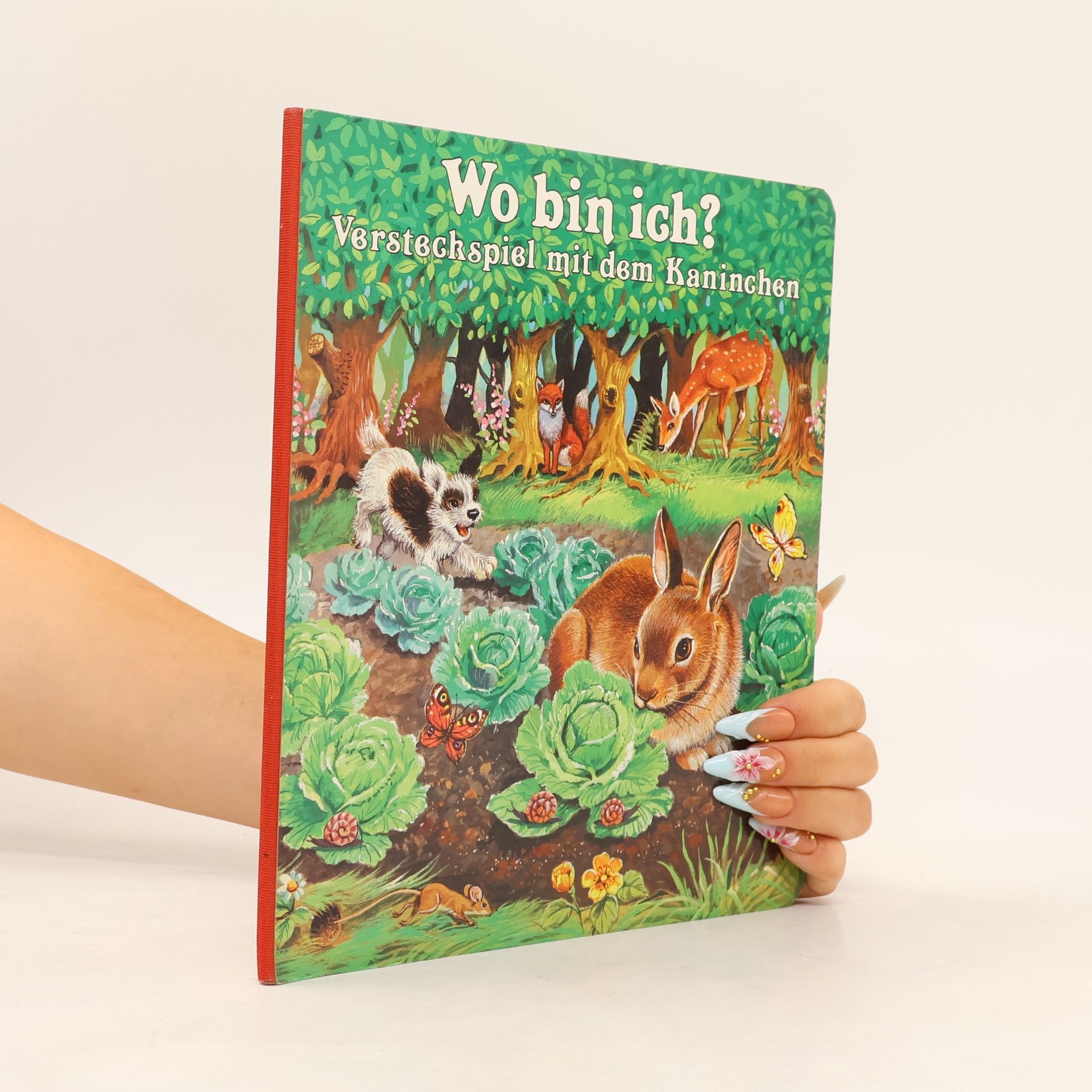 Various authors Wo bin ich? Versteckspiel mit dem Kaninchen