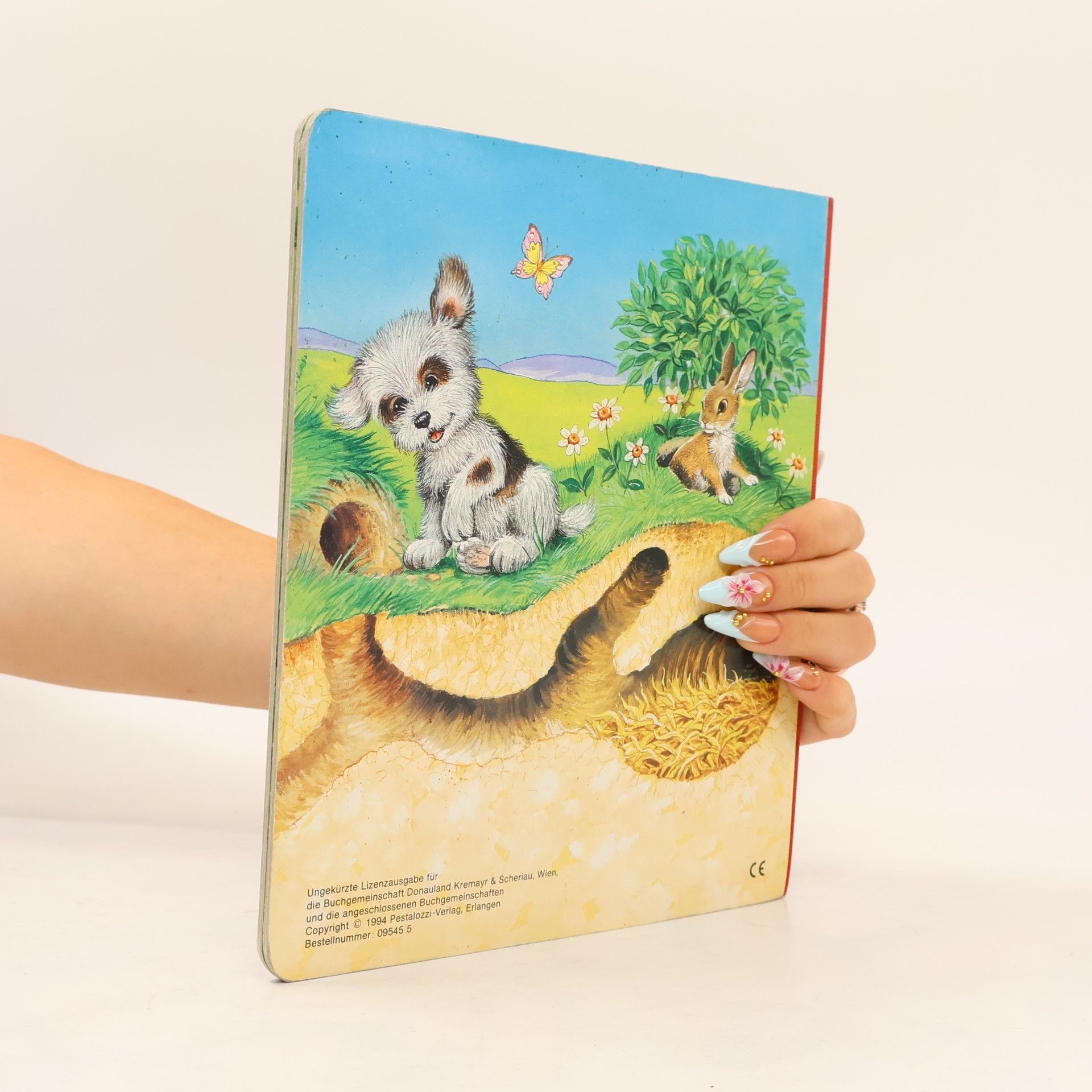 Various authors Wo bin ich? Versteckspiel mit dem Kaninchen