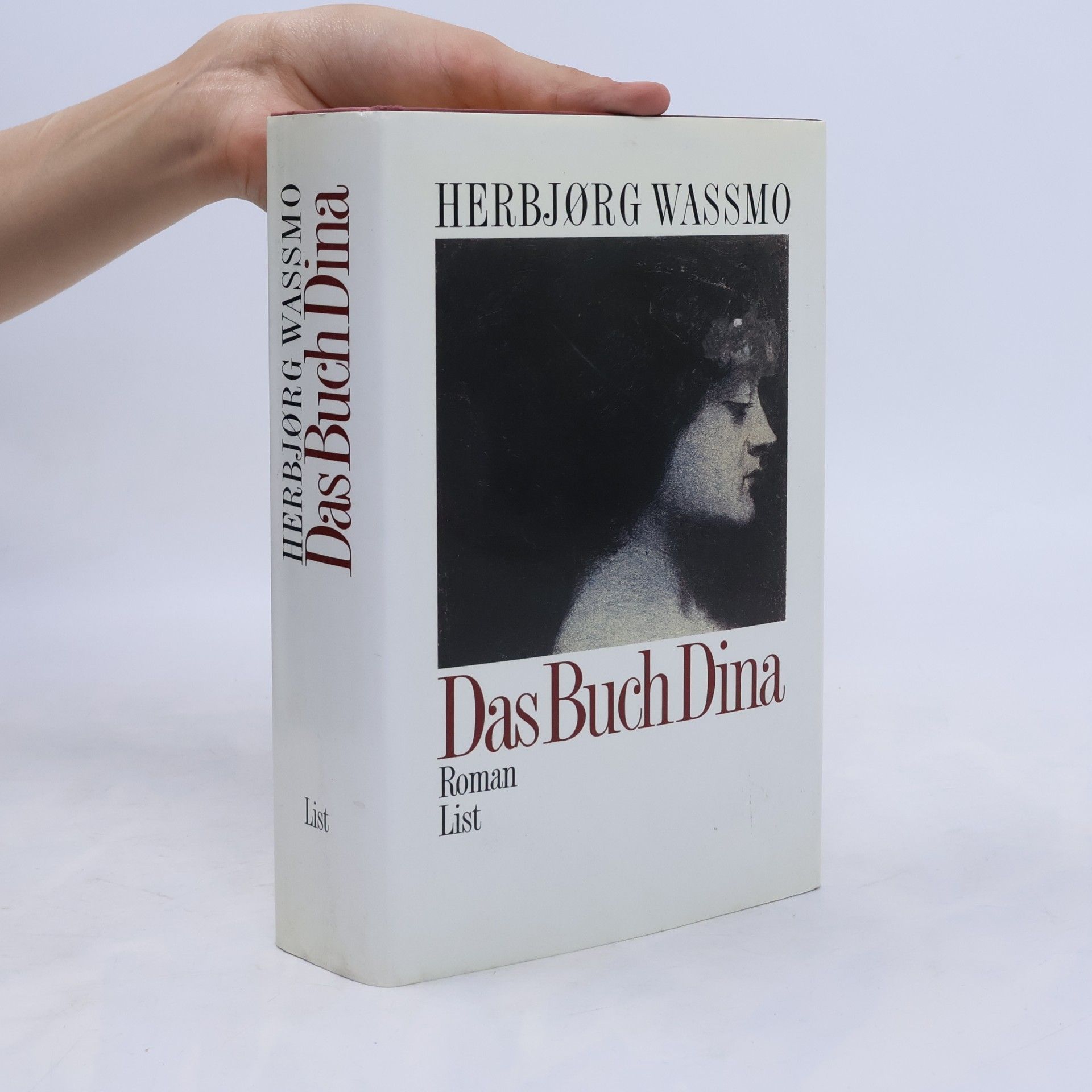 Herbjørg Wassmo Das Buch Dina