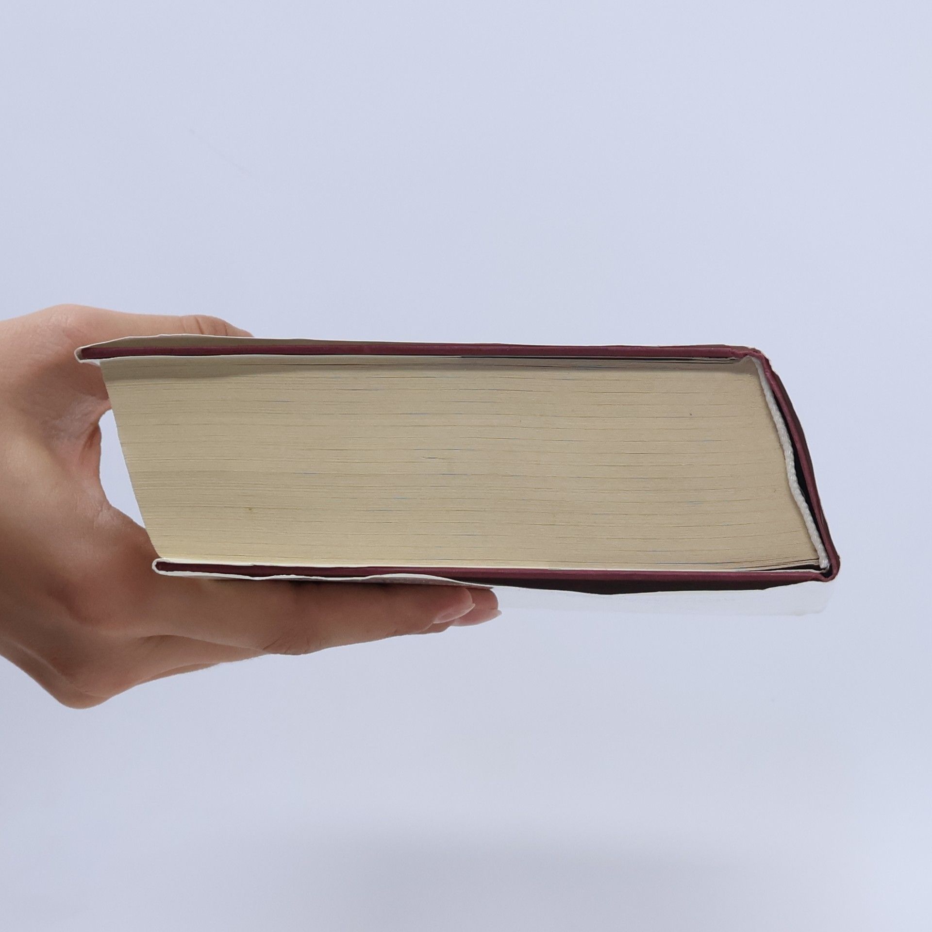Herbjørg Wassmo Das Buch Dina