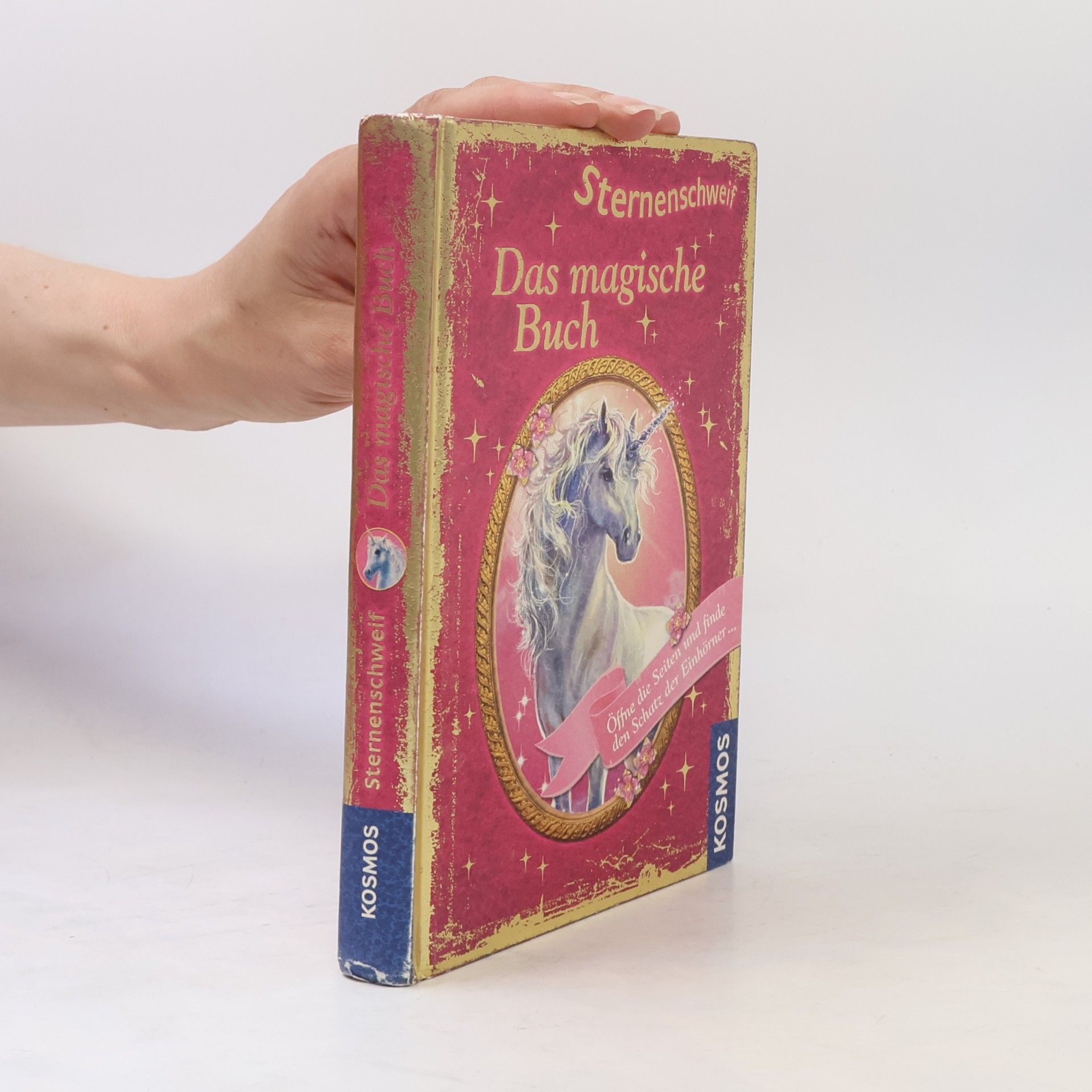 Carolin Ina Schröter Sternenschweif - das magische Buch
