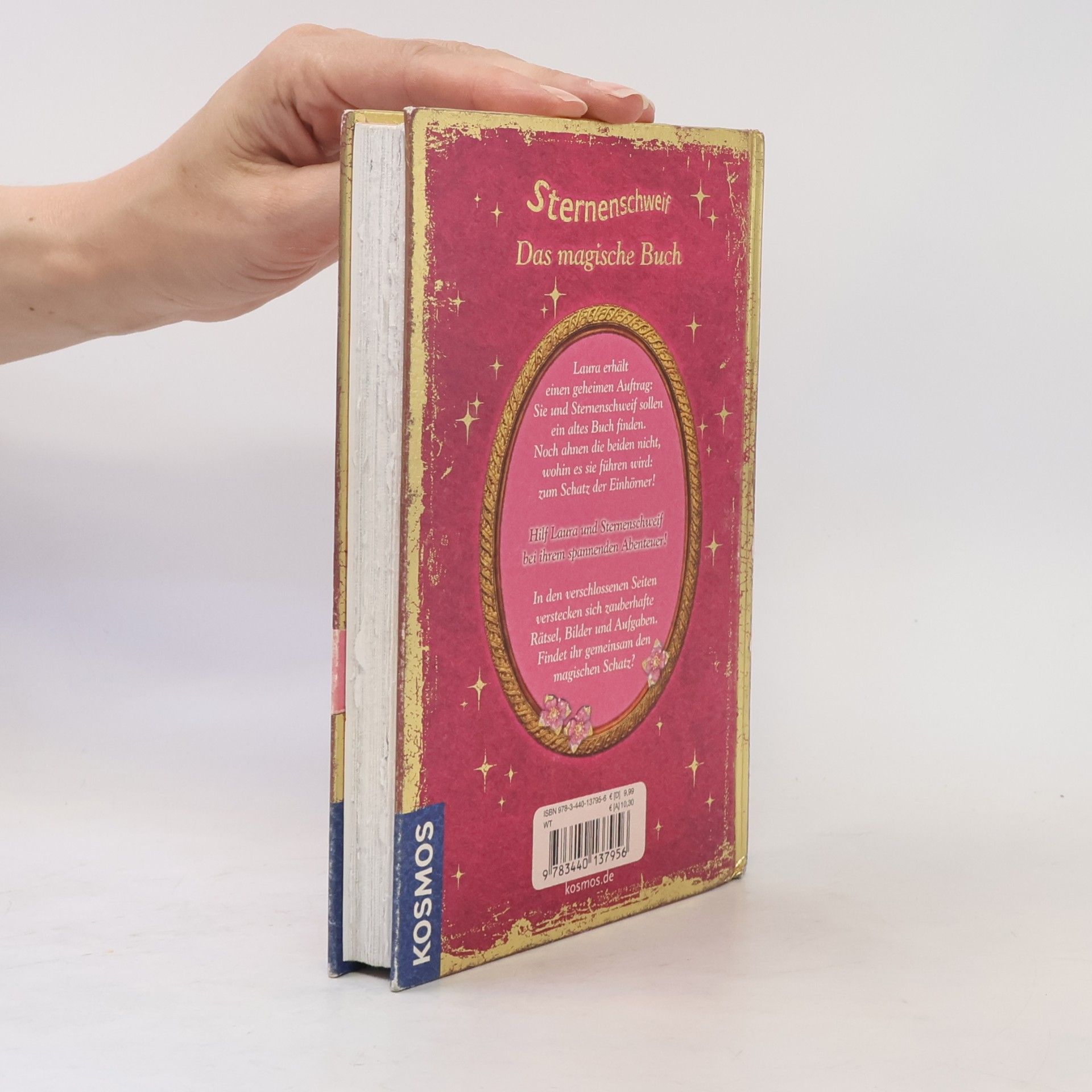 Carolin Ina Schröter Sternenschweif - das magische Buch