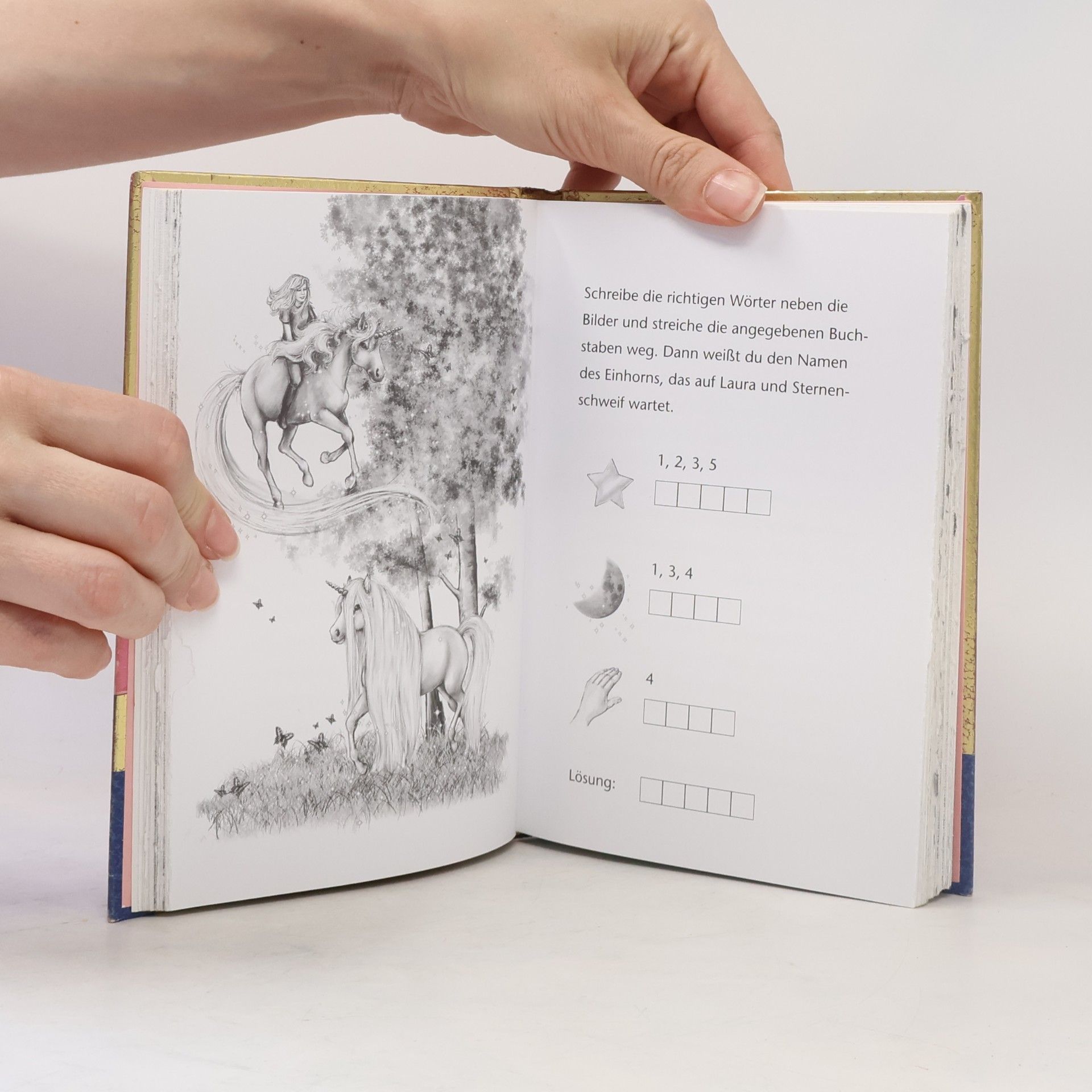 Carolin Ina Schröter Sternenschweif - das magische Buch