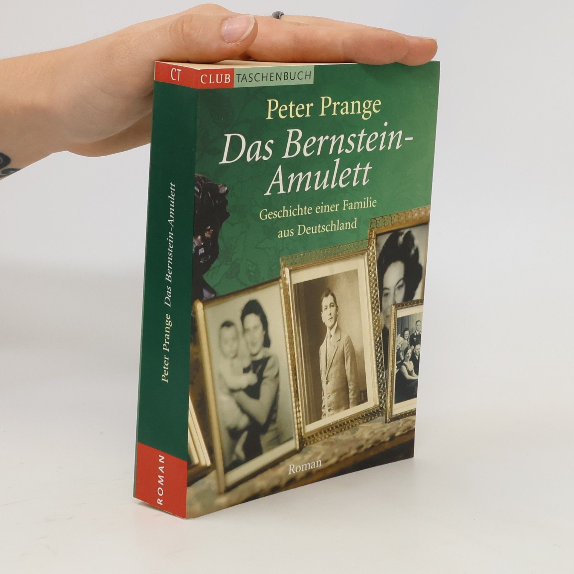 Peter Prange Das Bernstein-Amulett