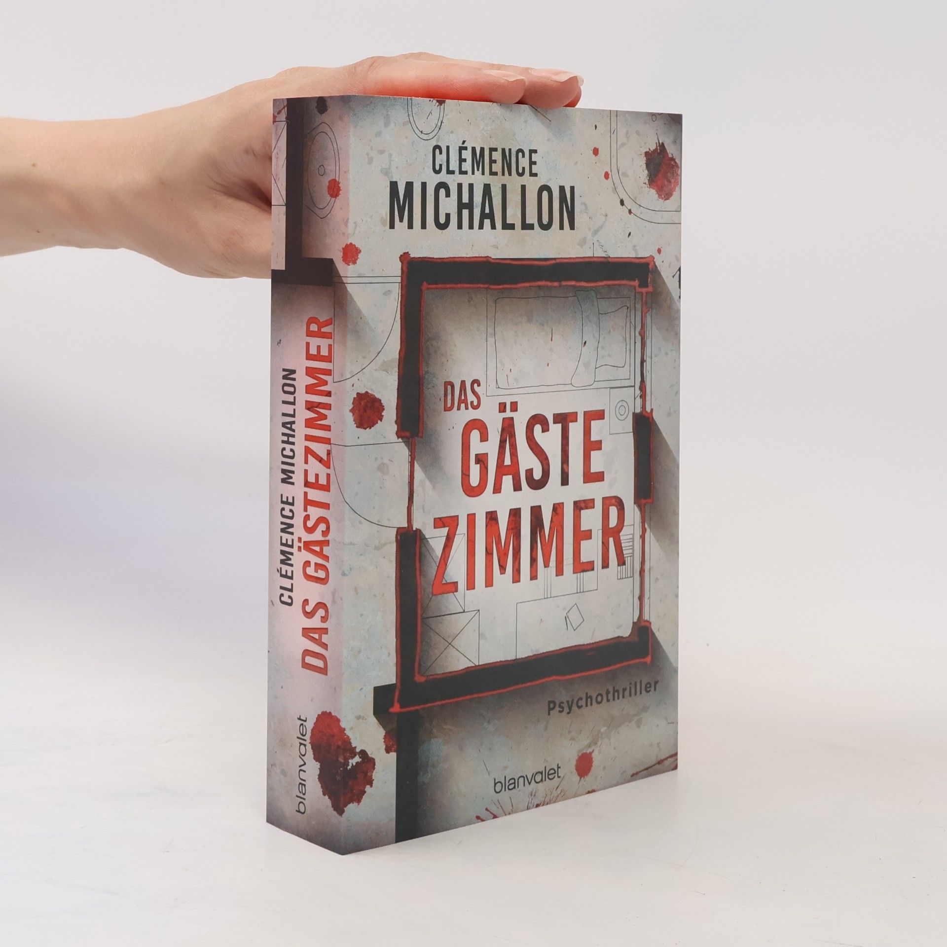 Clémence Michallon Das Gästezimmer