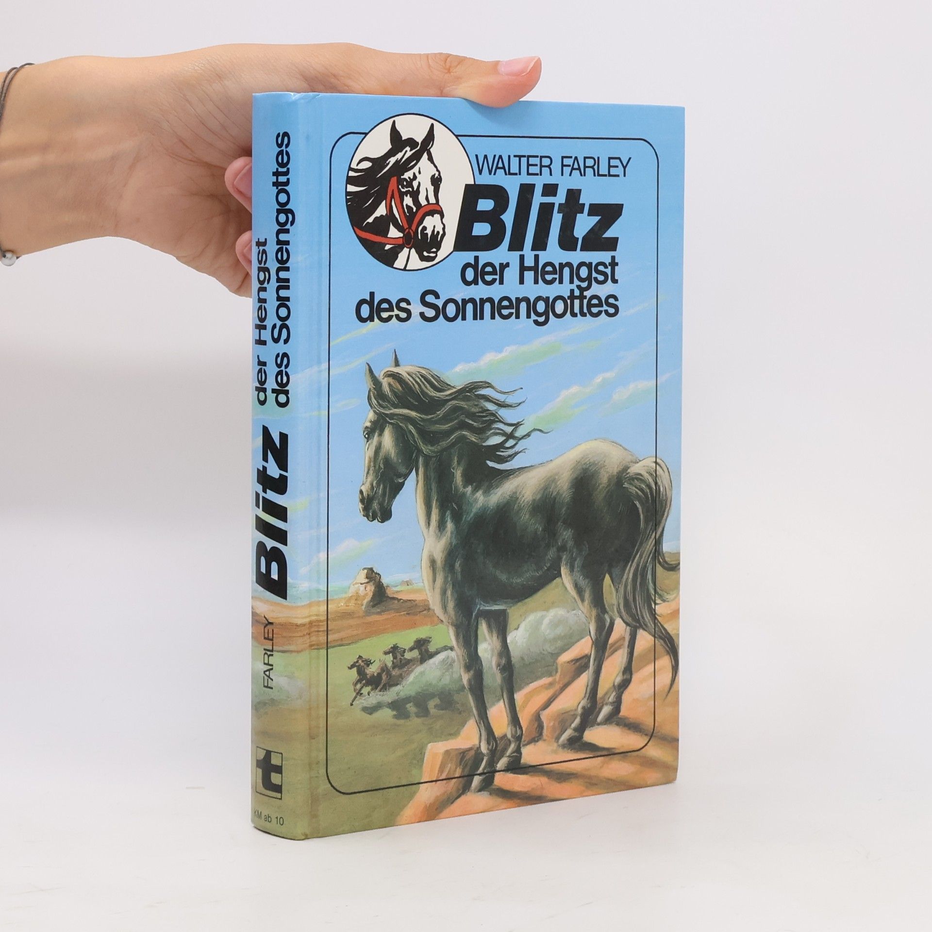 Walter Farley Blitz der Hengst des Sonnengottes