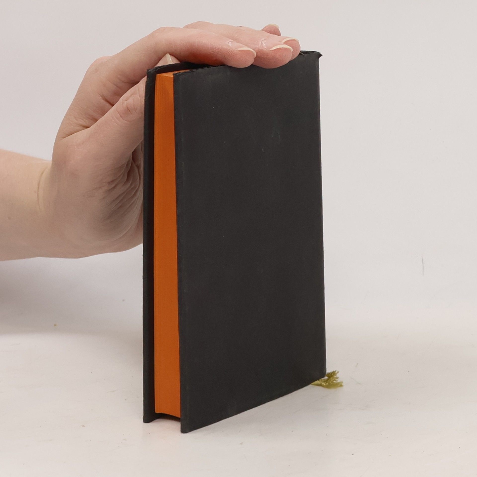 P. Urbanus Bomm Das Kleine Volksmeßbuch