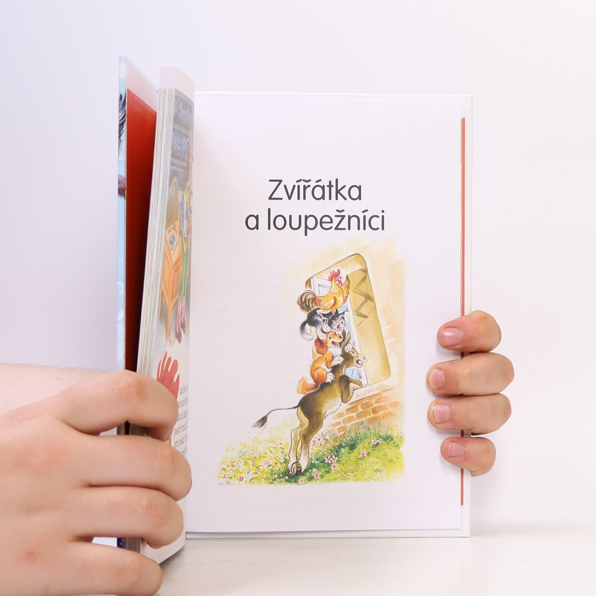 Kolektiv autorů První čtení o zvířátkách