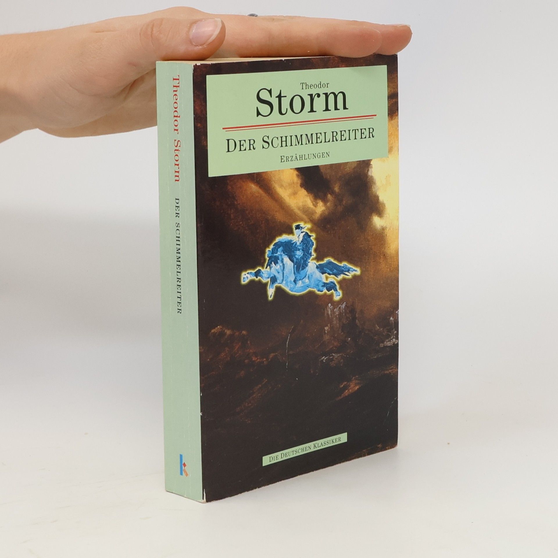 Theodor Storm Der Schimmelreiter. Erzählungen