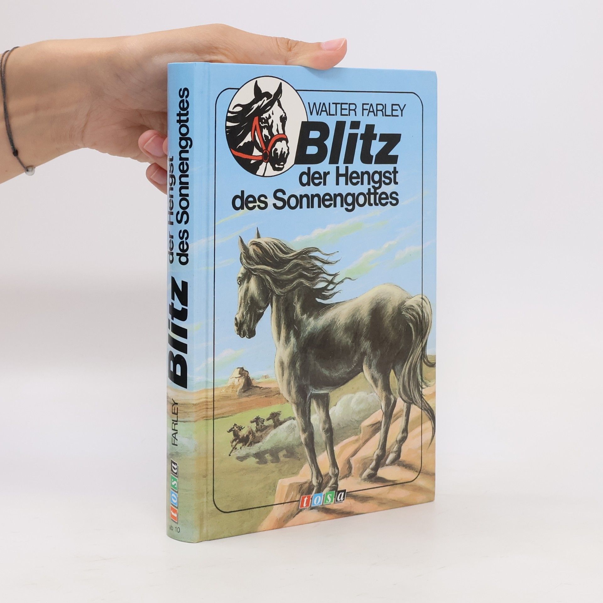 Walter Farley Blitz der Hengst des Sonnengottes