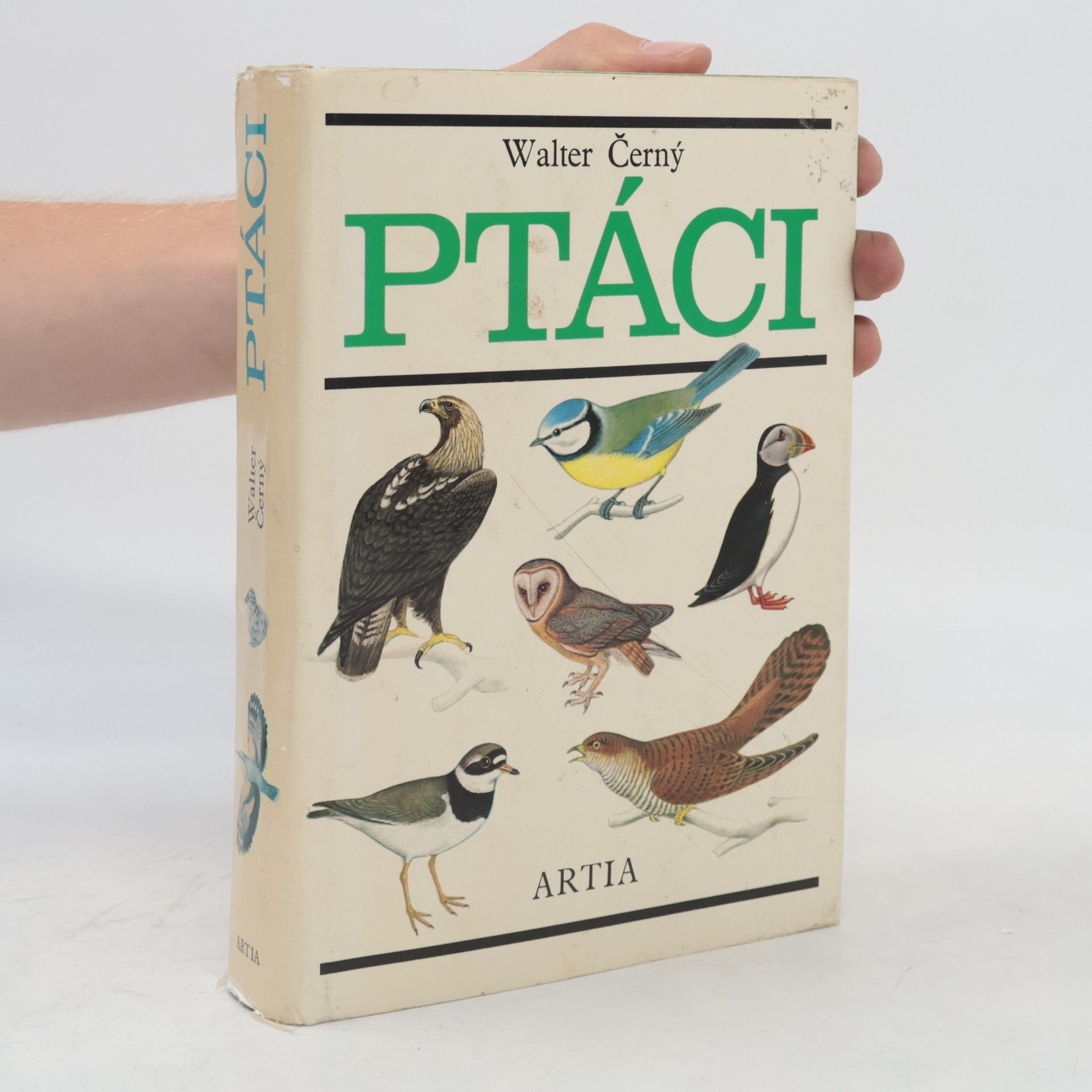 Walter Černý Ptáci