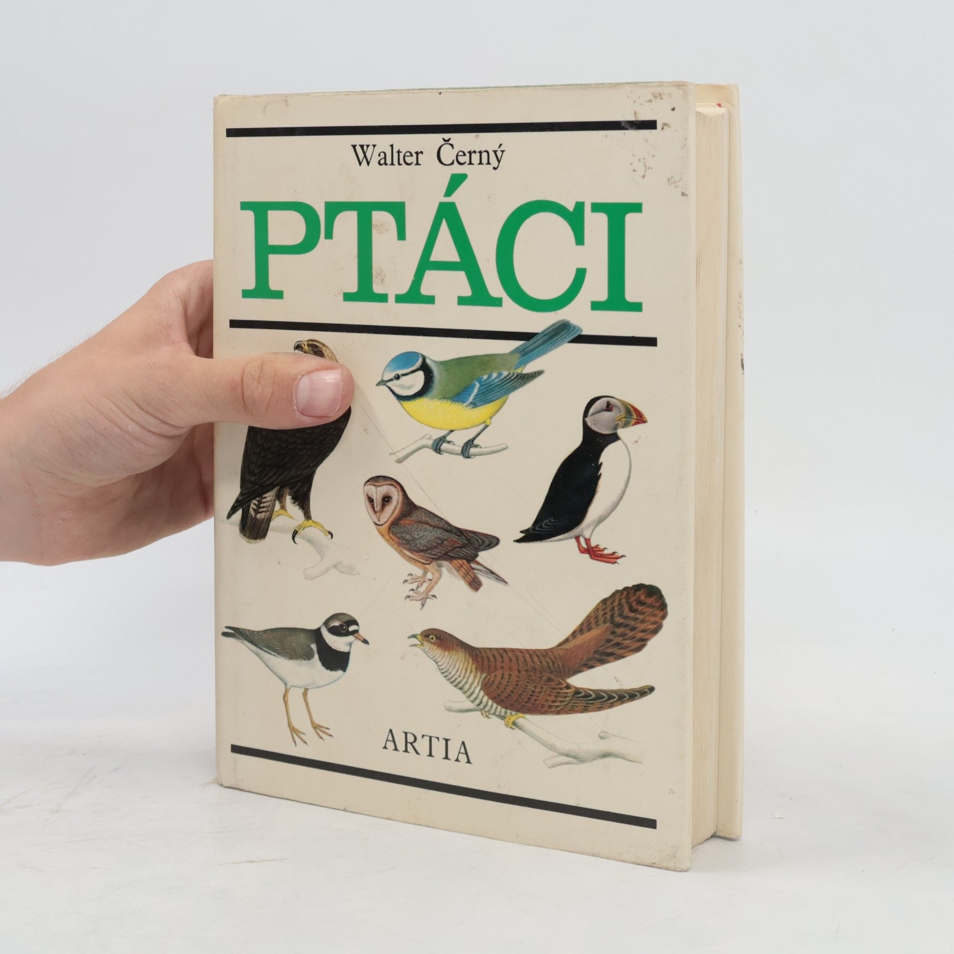 Walter Černý Ptáci