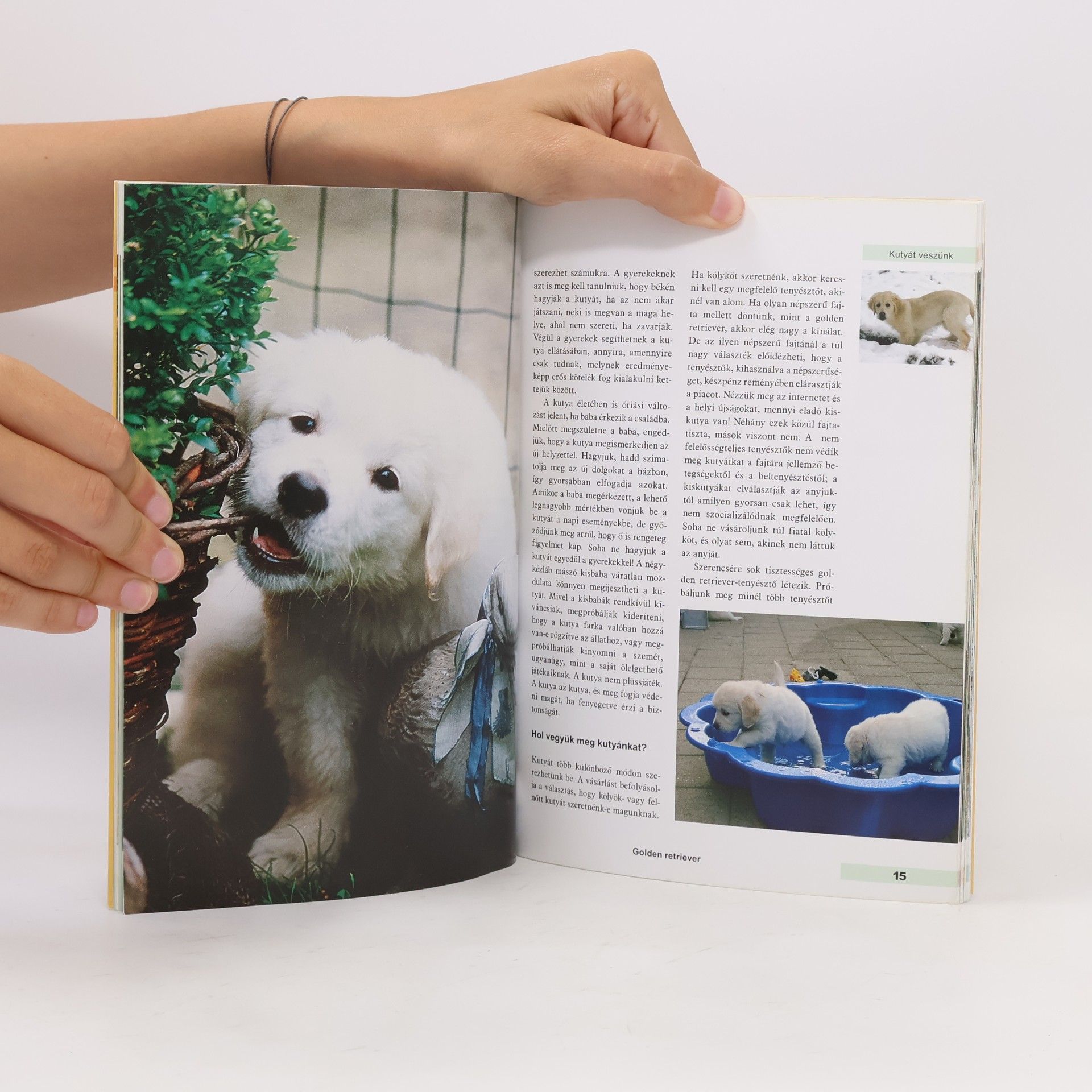 Various authors Golden retriever