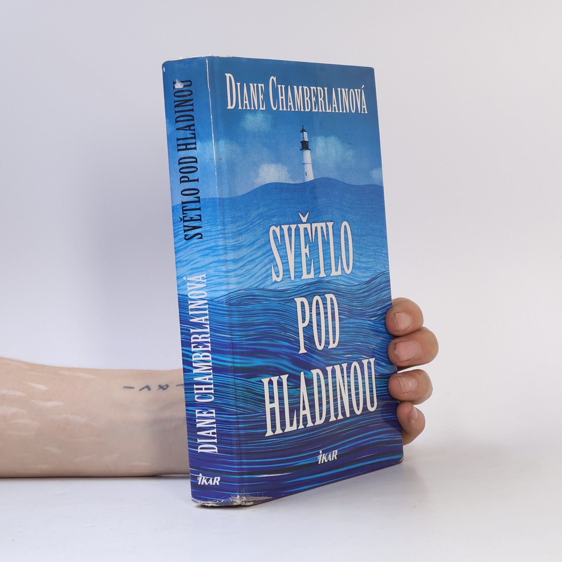 Diane Chamberlain Světlo pod hladinou